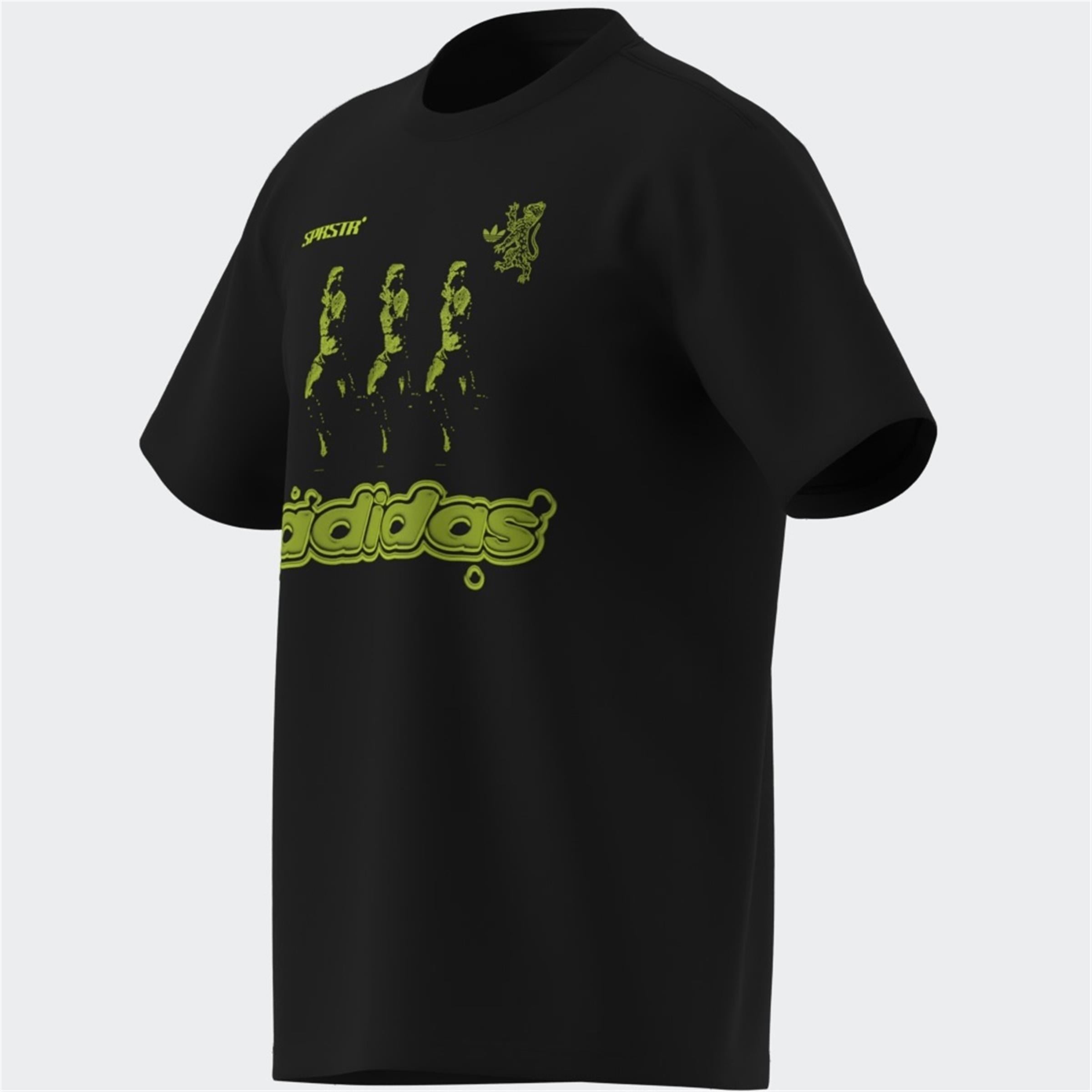GRAPHIC REG SST