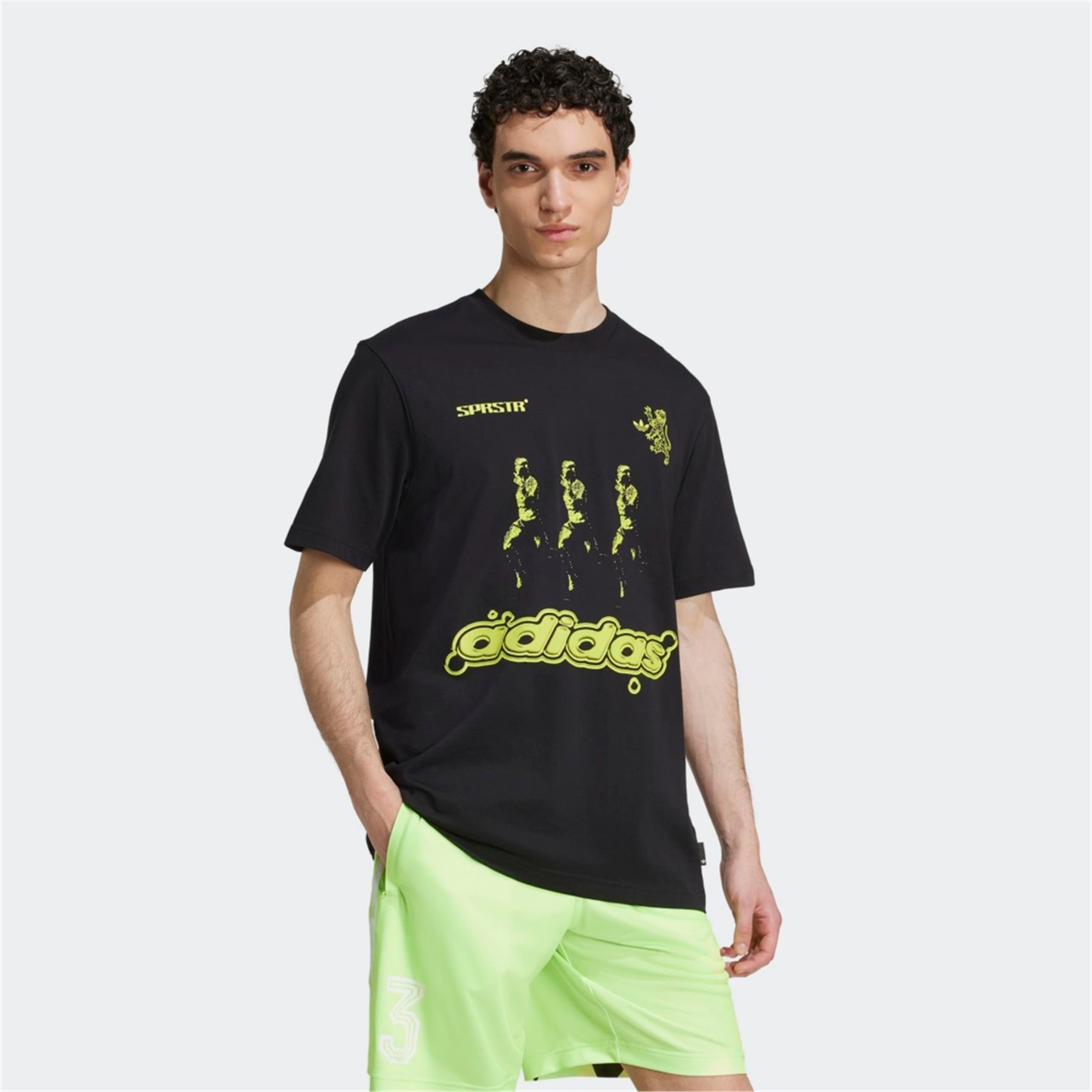 GRAPHIC REG SST