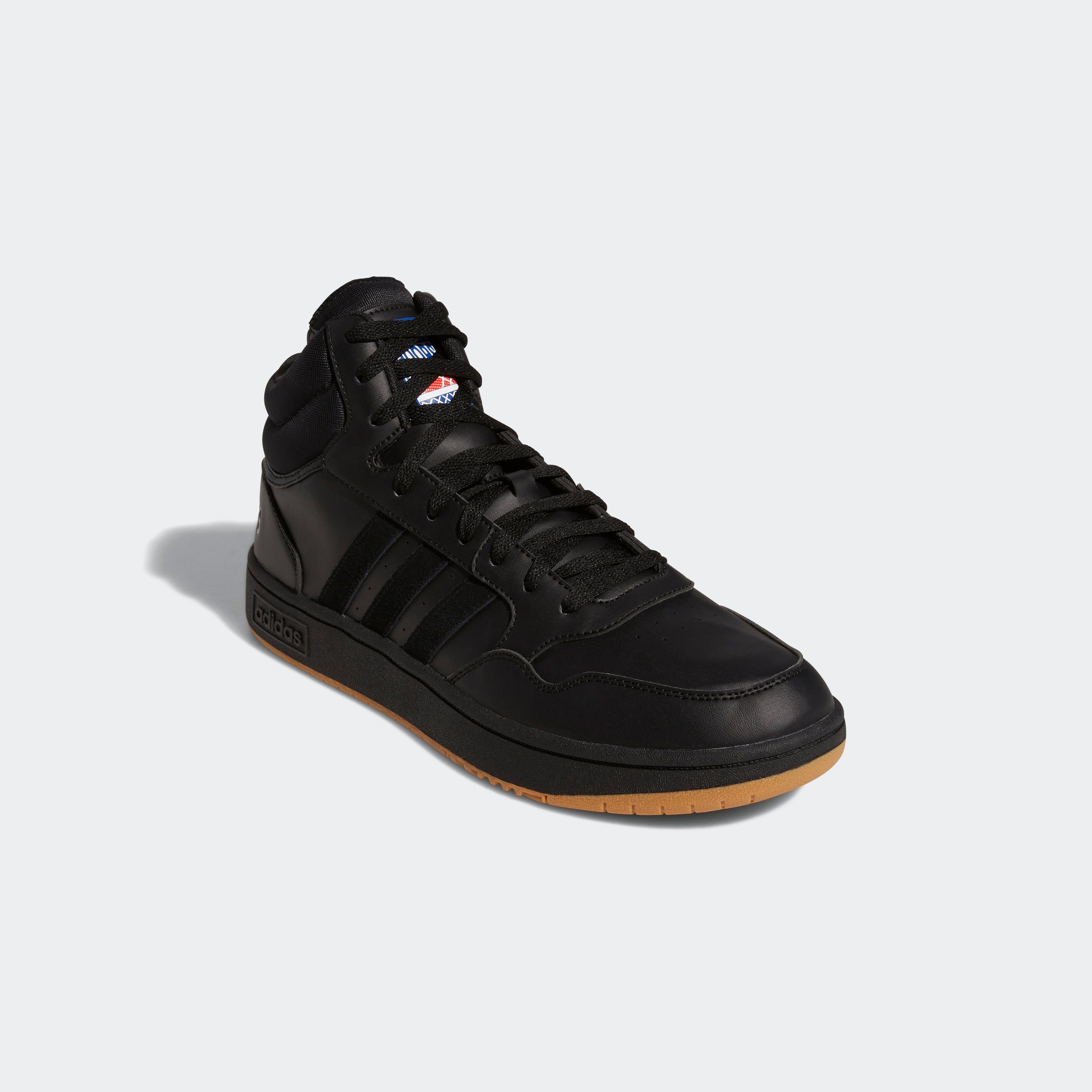 HOOPS 3.0 MID
