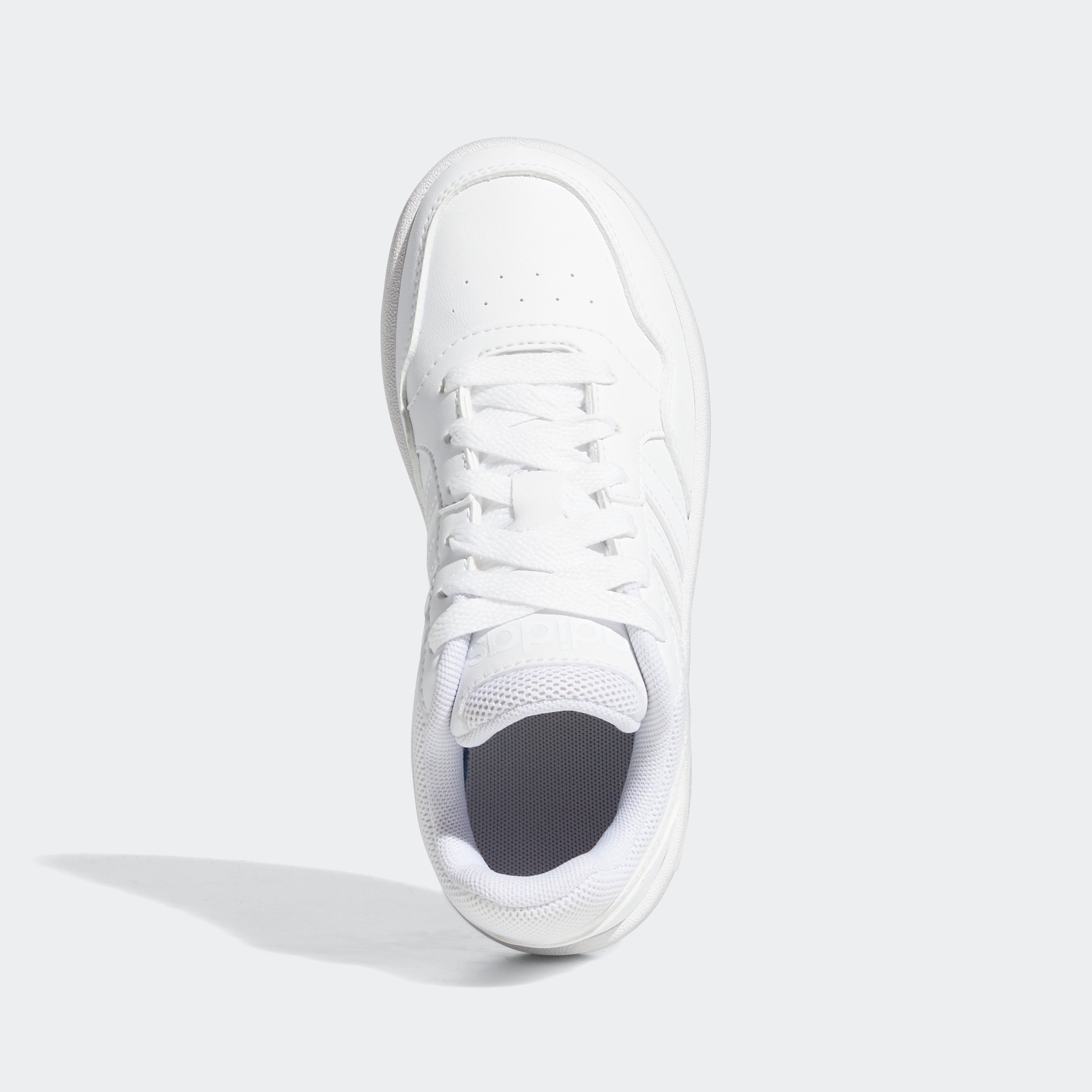 HOOPS 3.0 K
