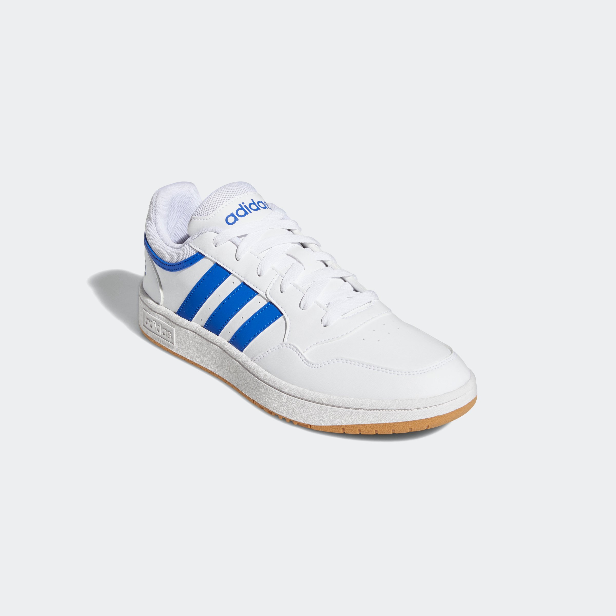 HOOPS 3.0