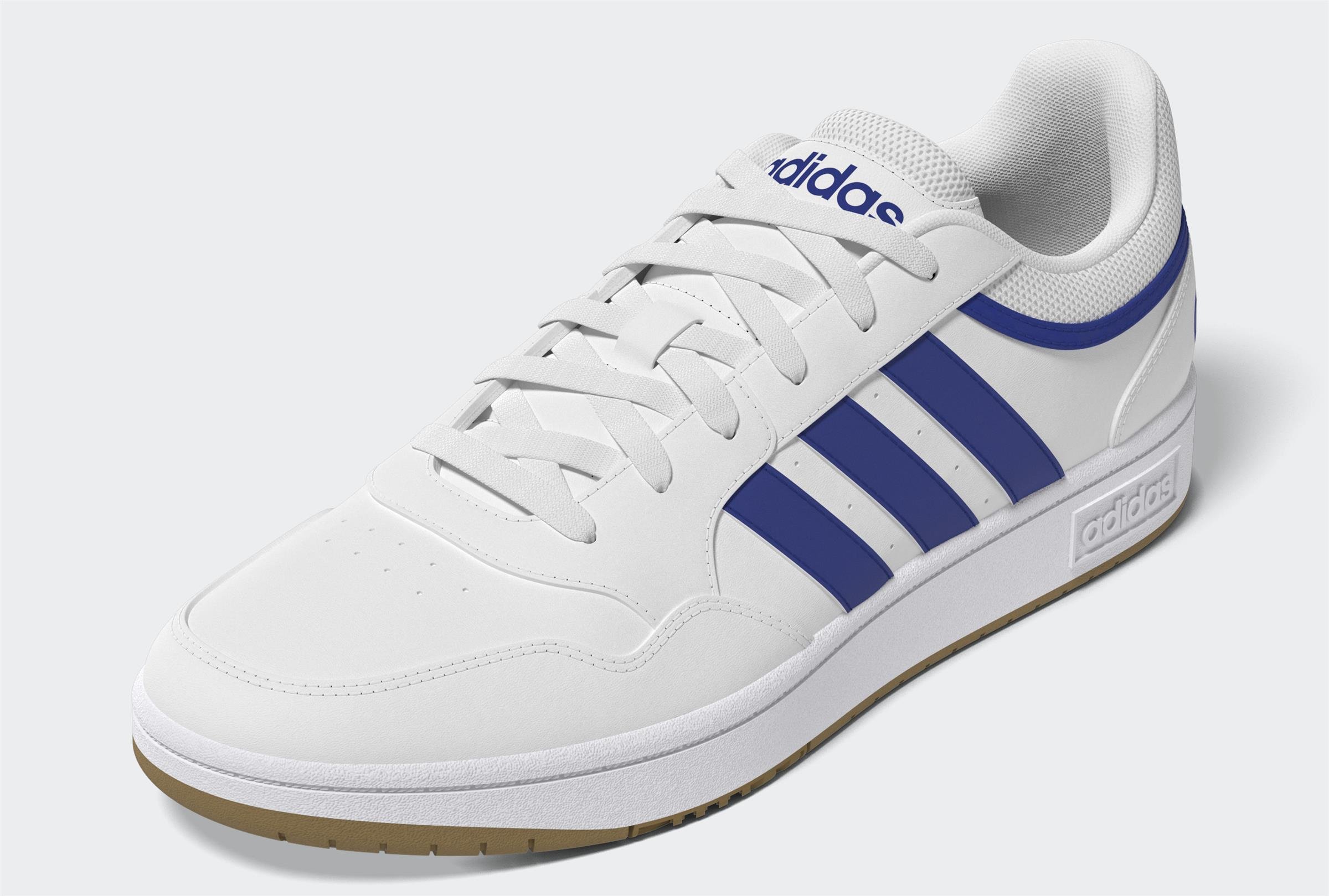 HOOPS 3.0