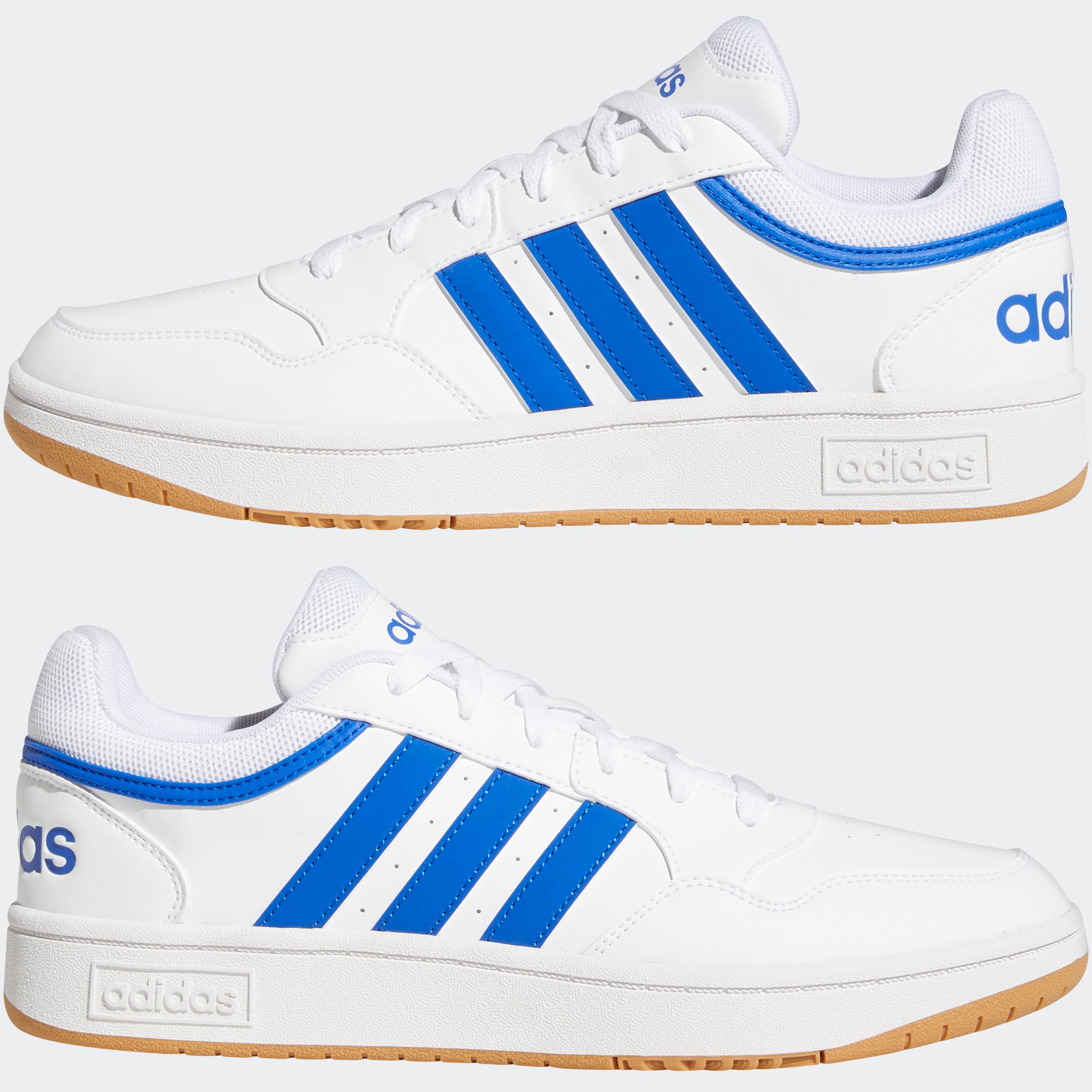HOOPS 3.0