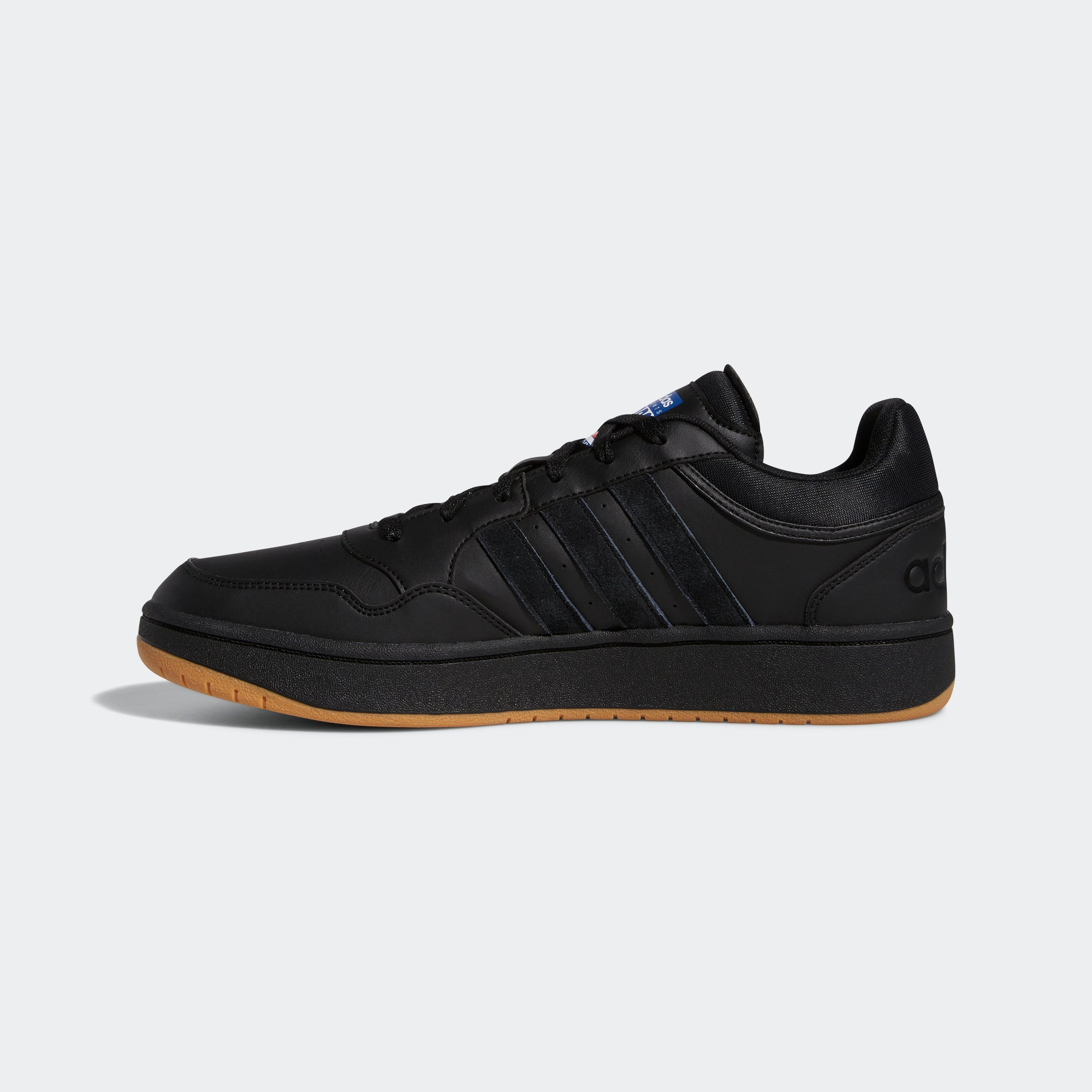 HOOPS 3.0