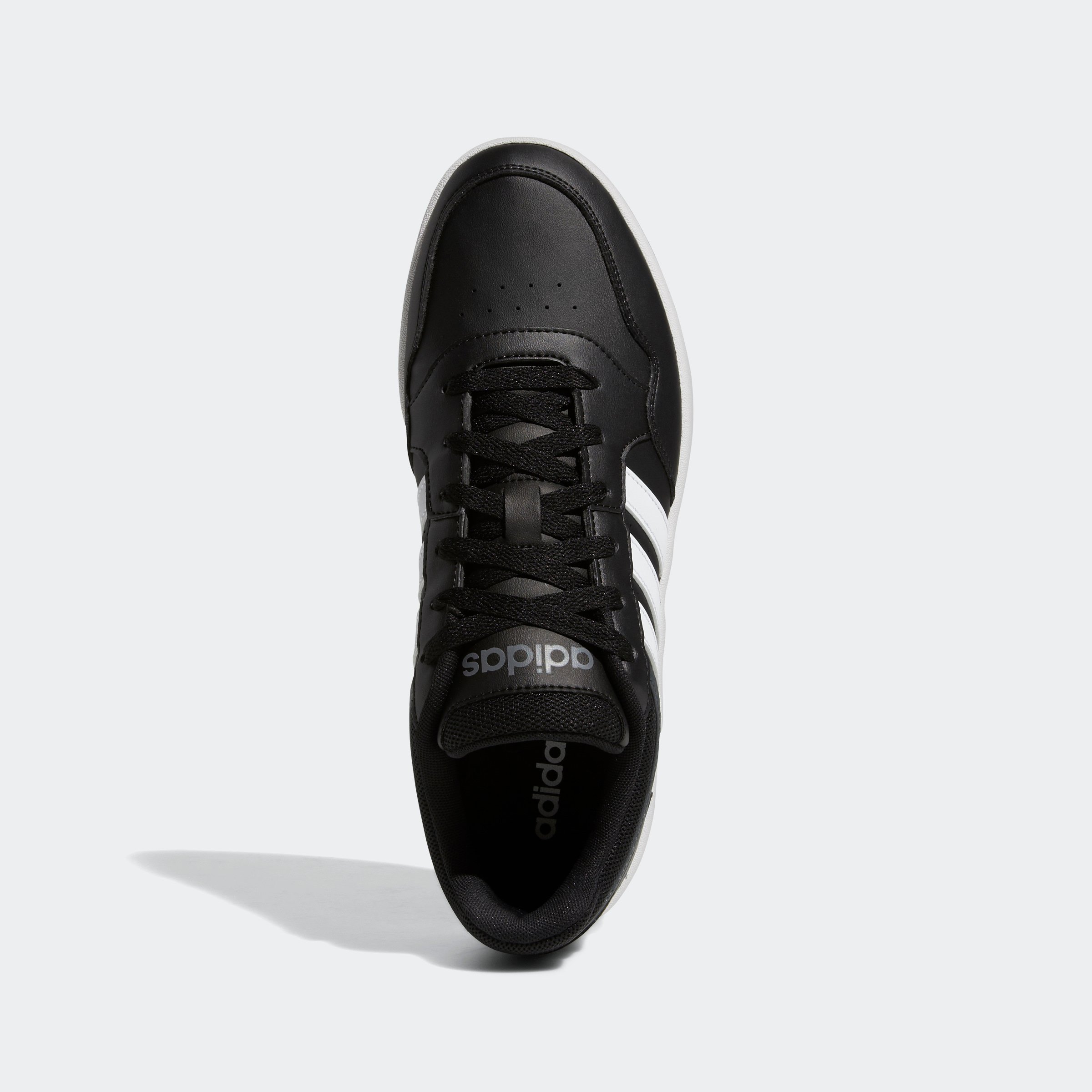 HOOPS 3.0