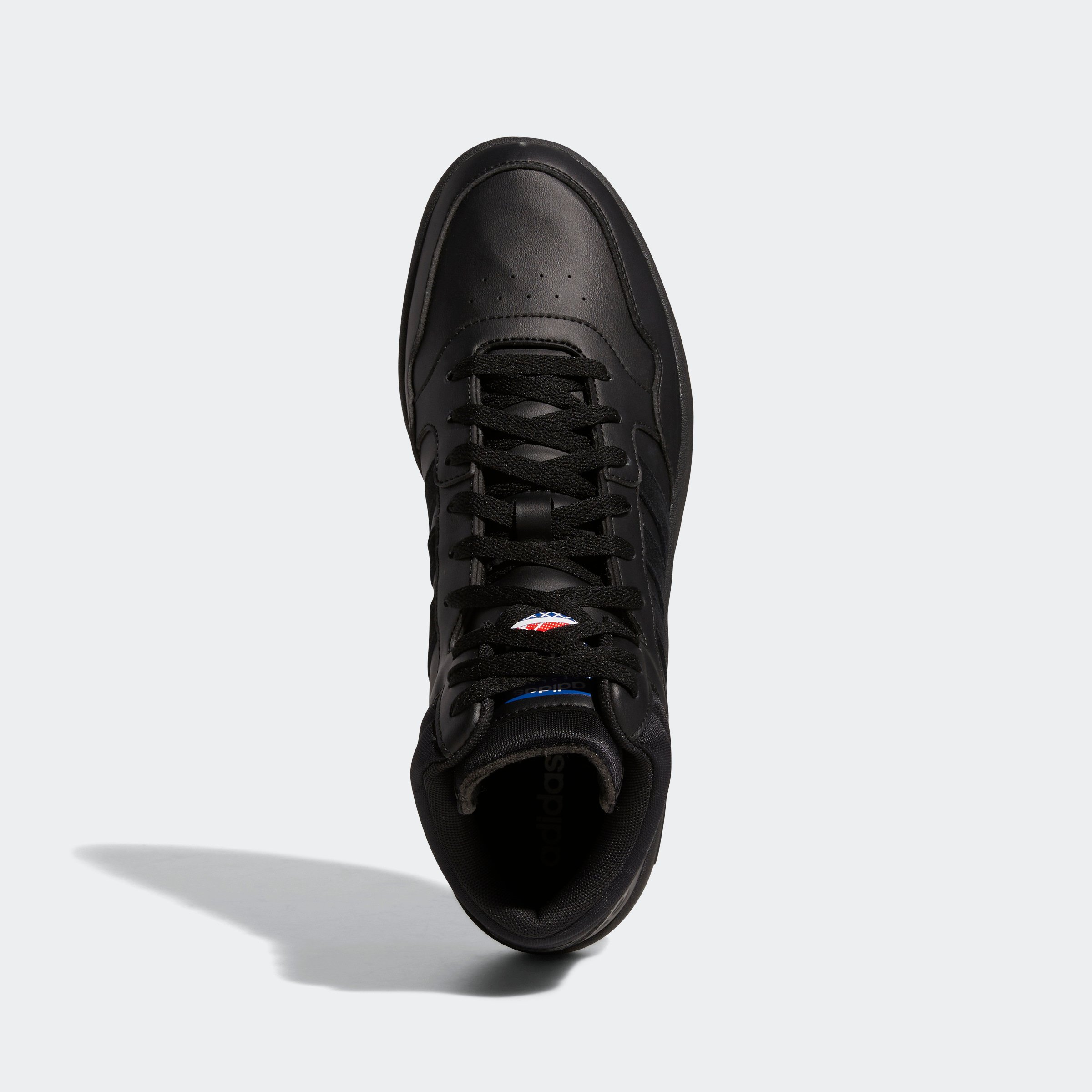 HOOPS 3.0 MID