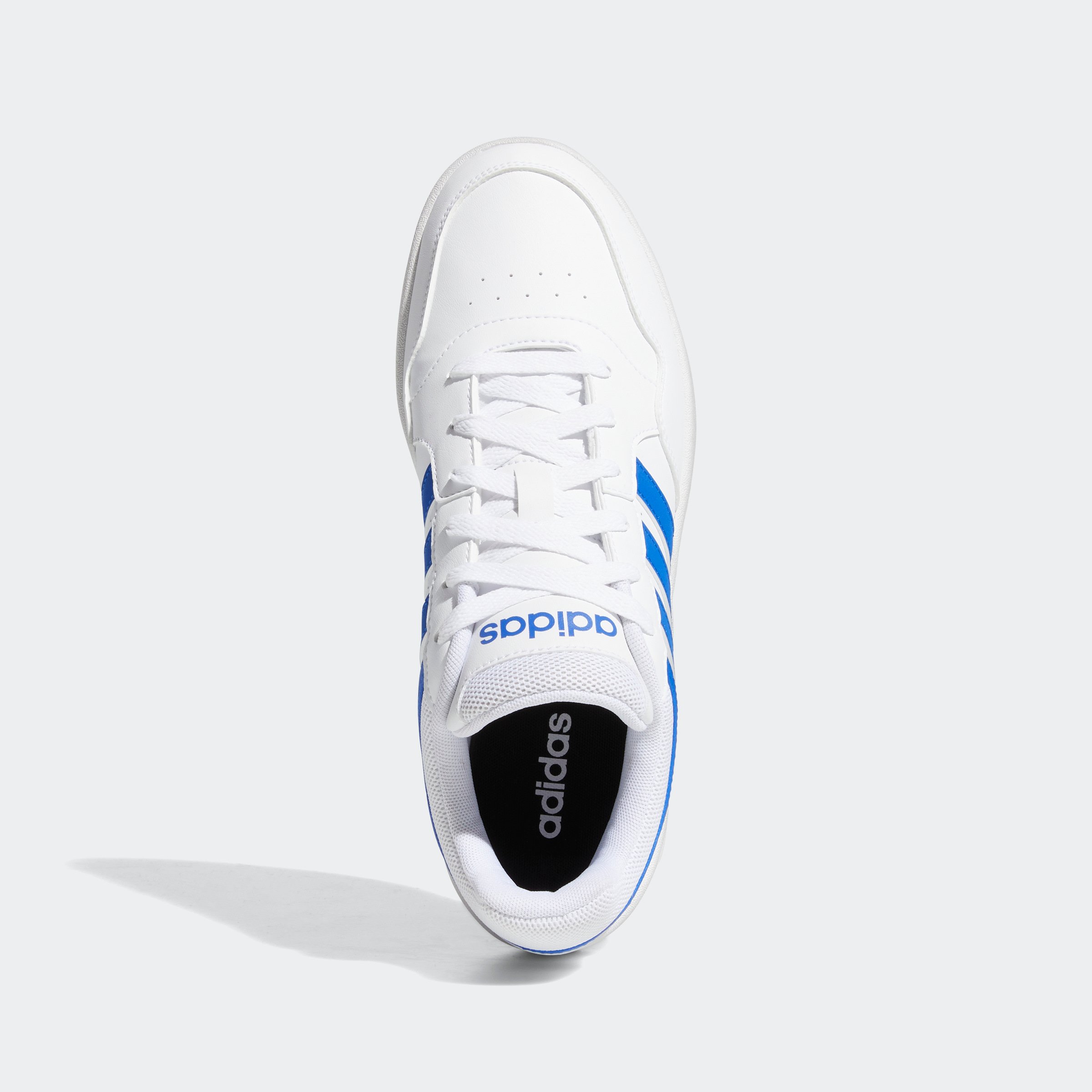 HOOPS 3.0