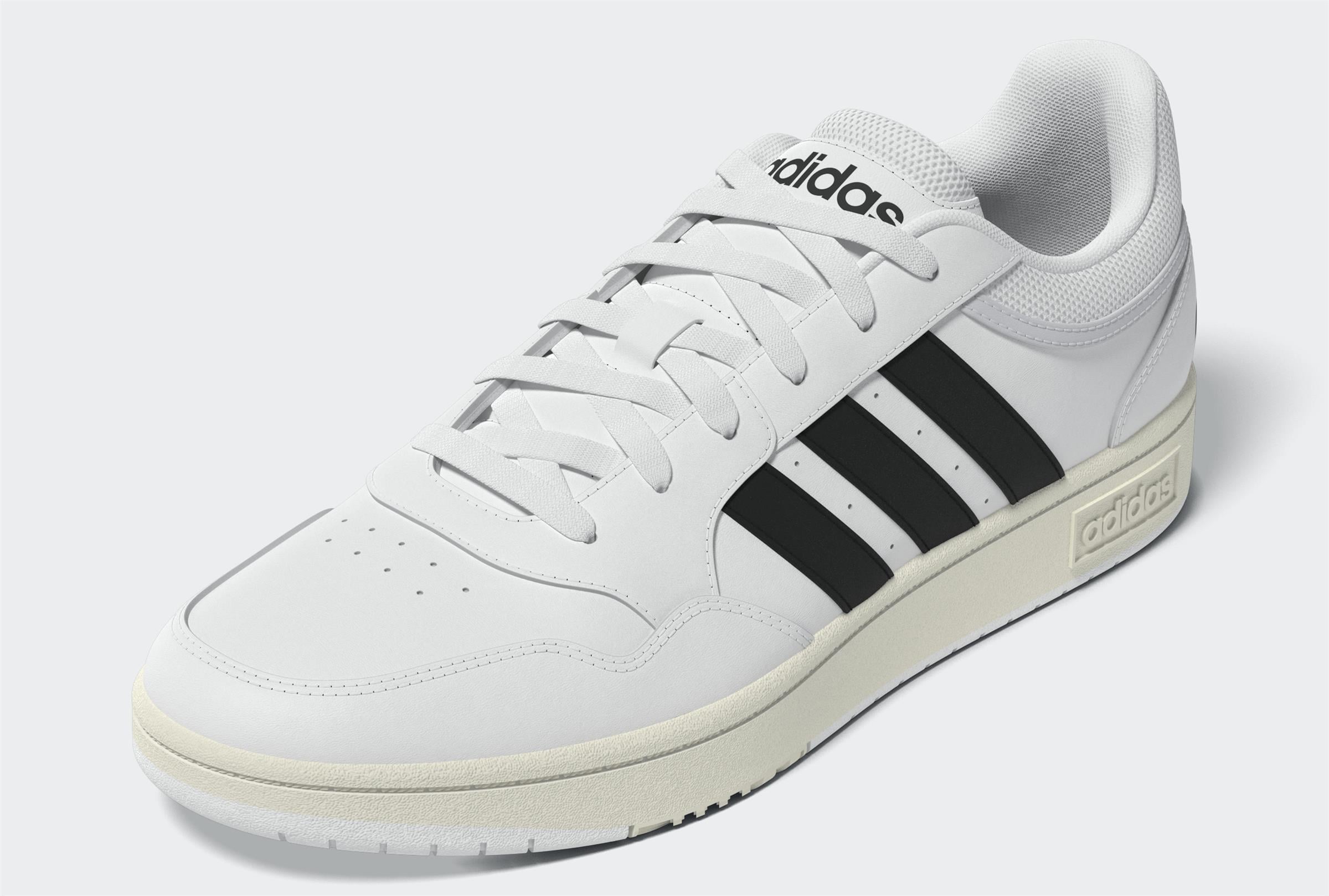 HOOPS 3.0