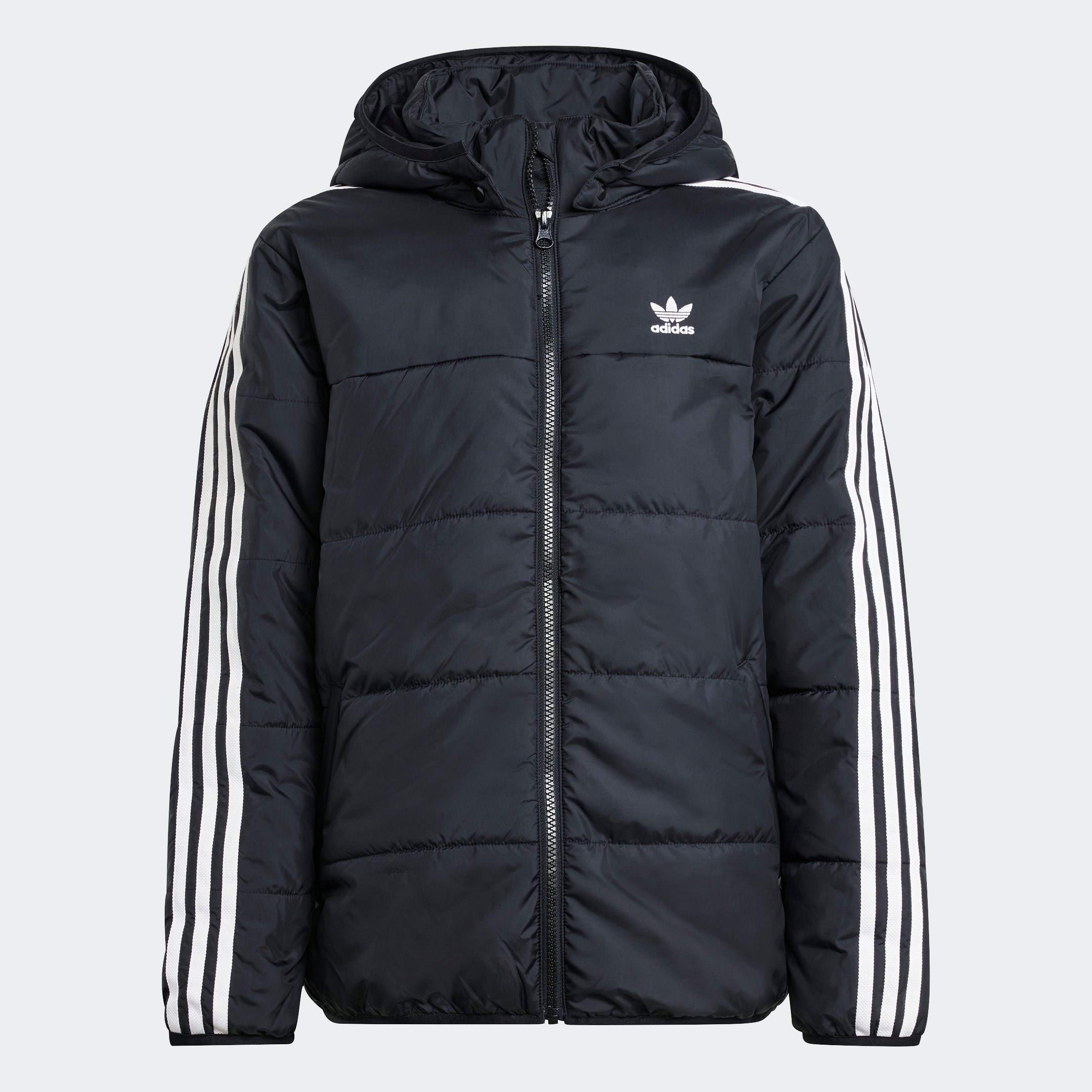 PADDED JACKET