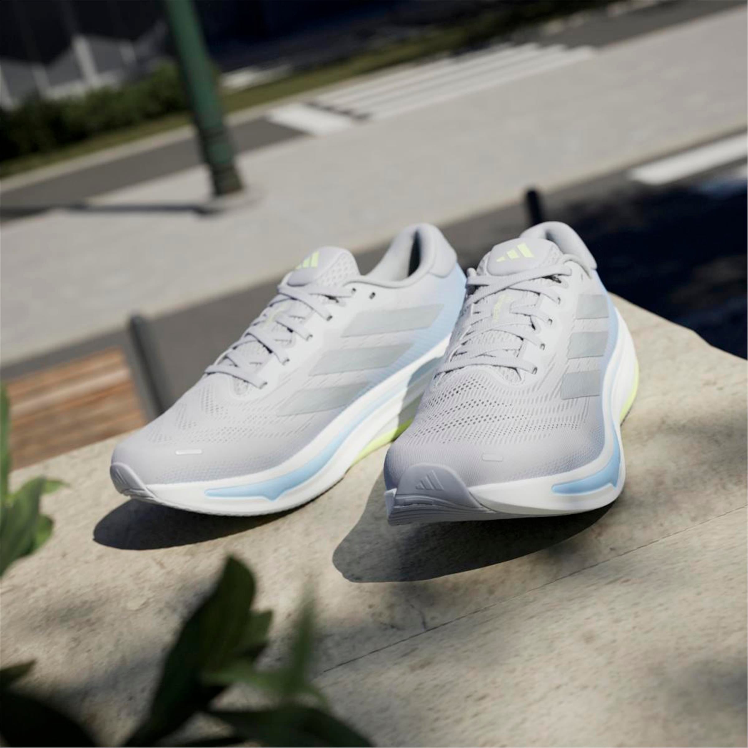 SUPERNOVA RISE 2 M
