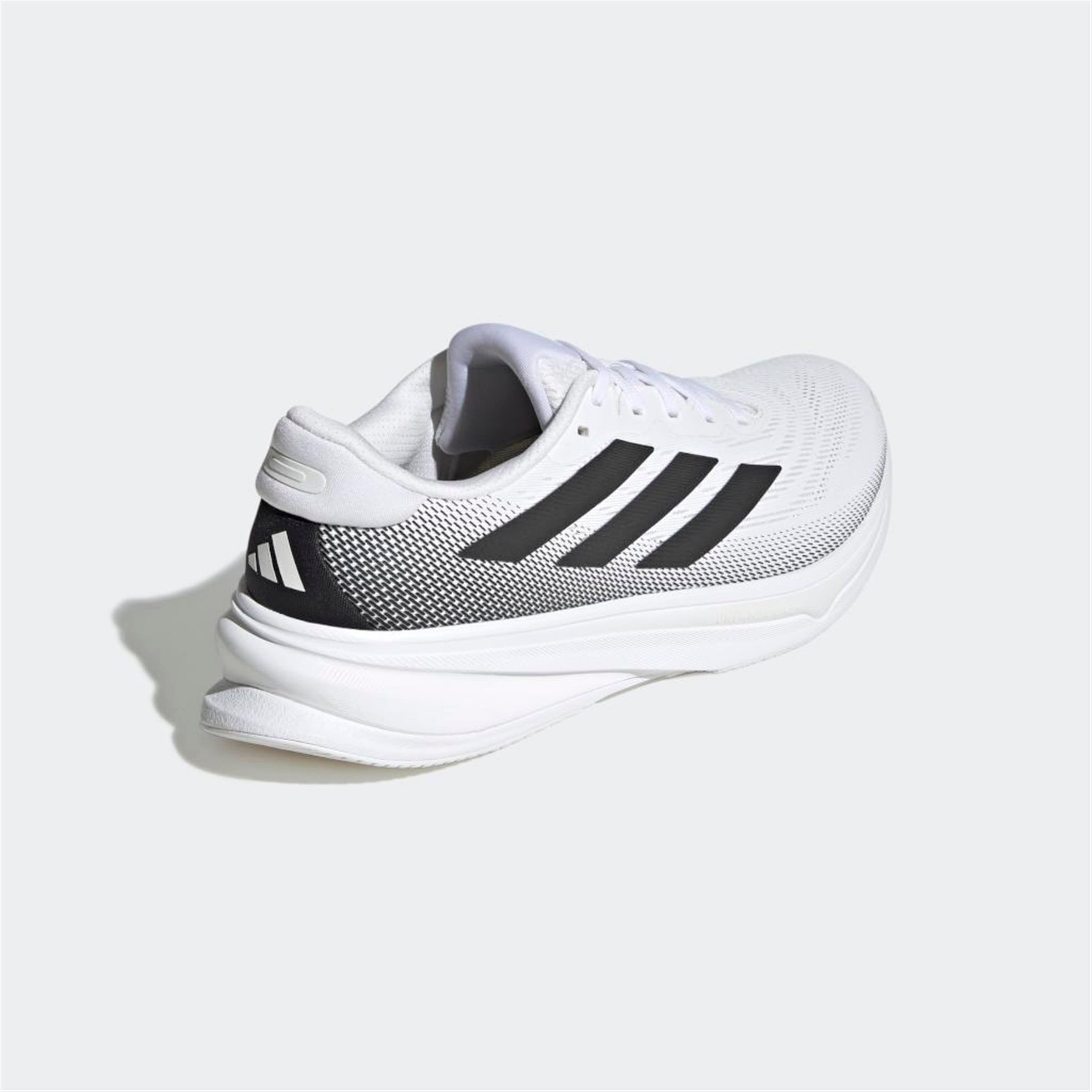 SUPERNOVA RISE 2 M