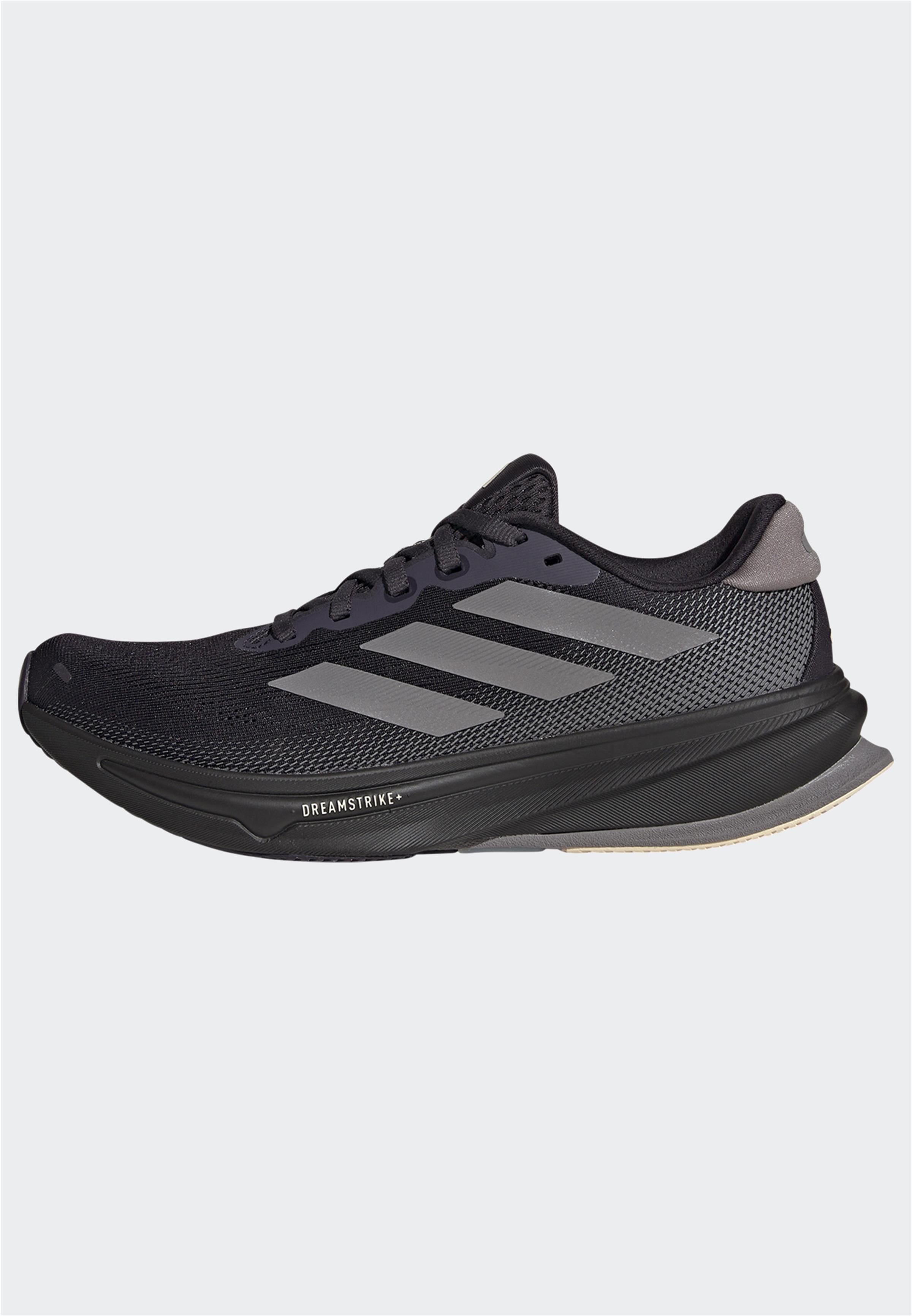 SUPERNOVA RISE 2 W