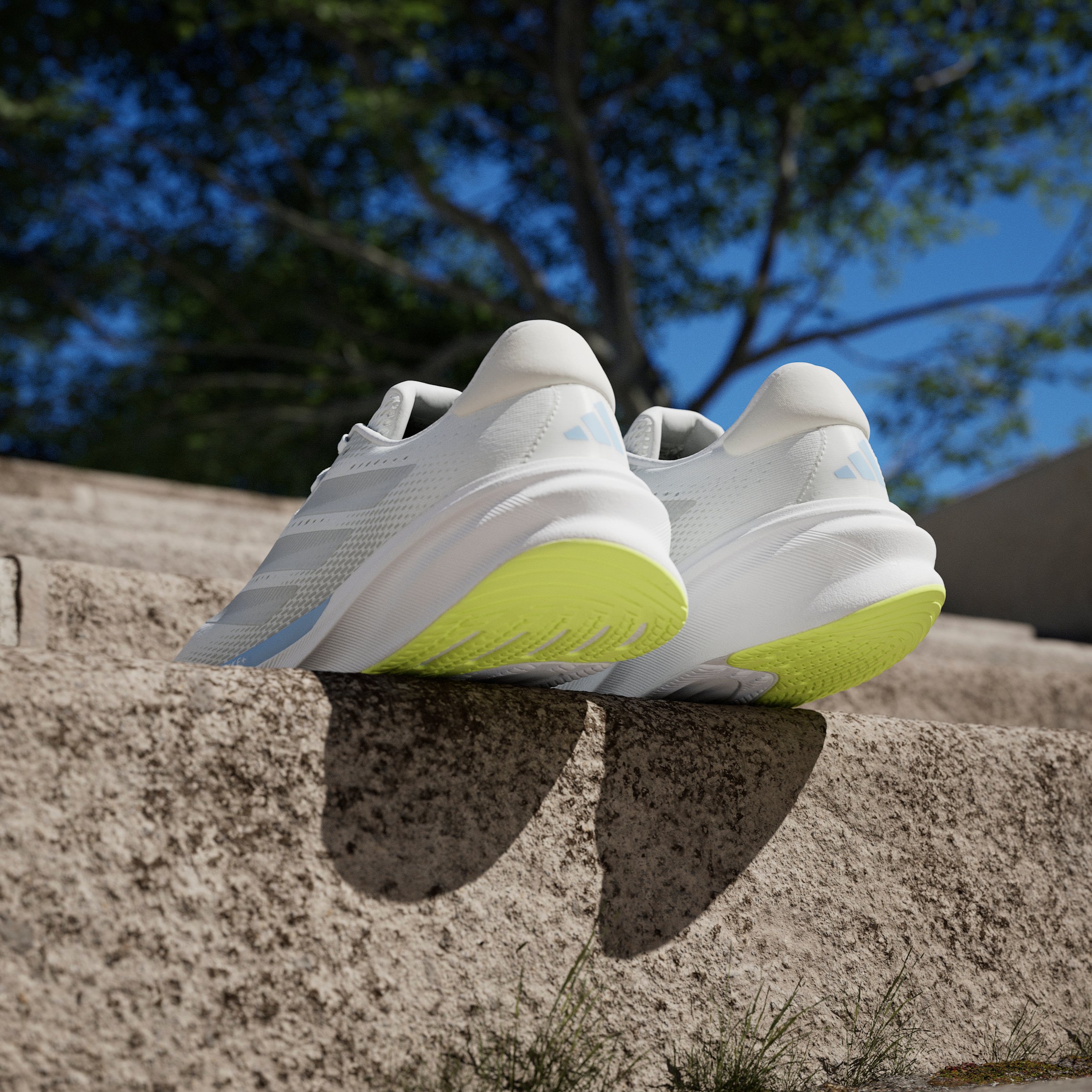 SUPERNOVA STRIDE 2 M