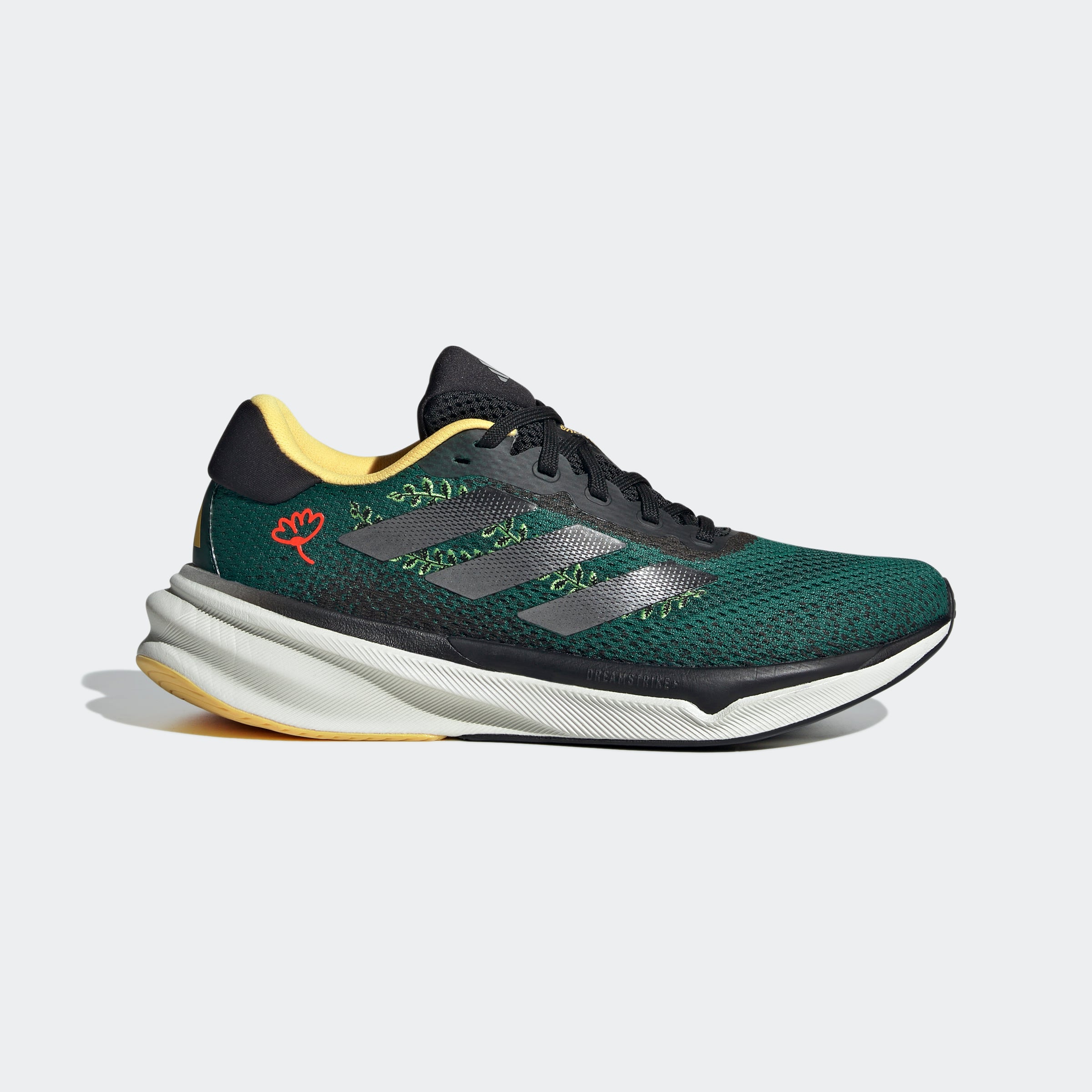 SUPERNOVA STRIDE W EARTH DAY