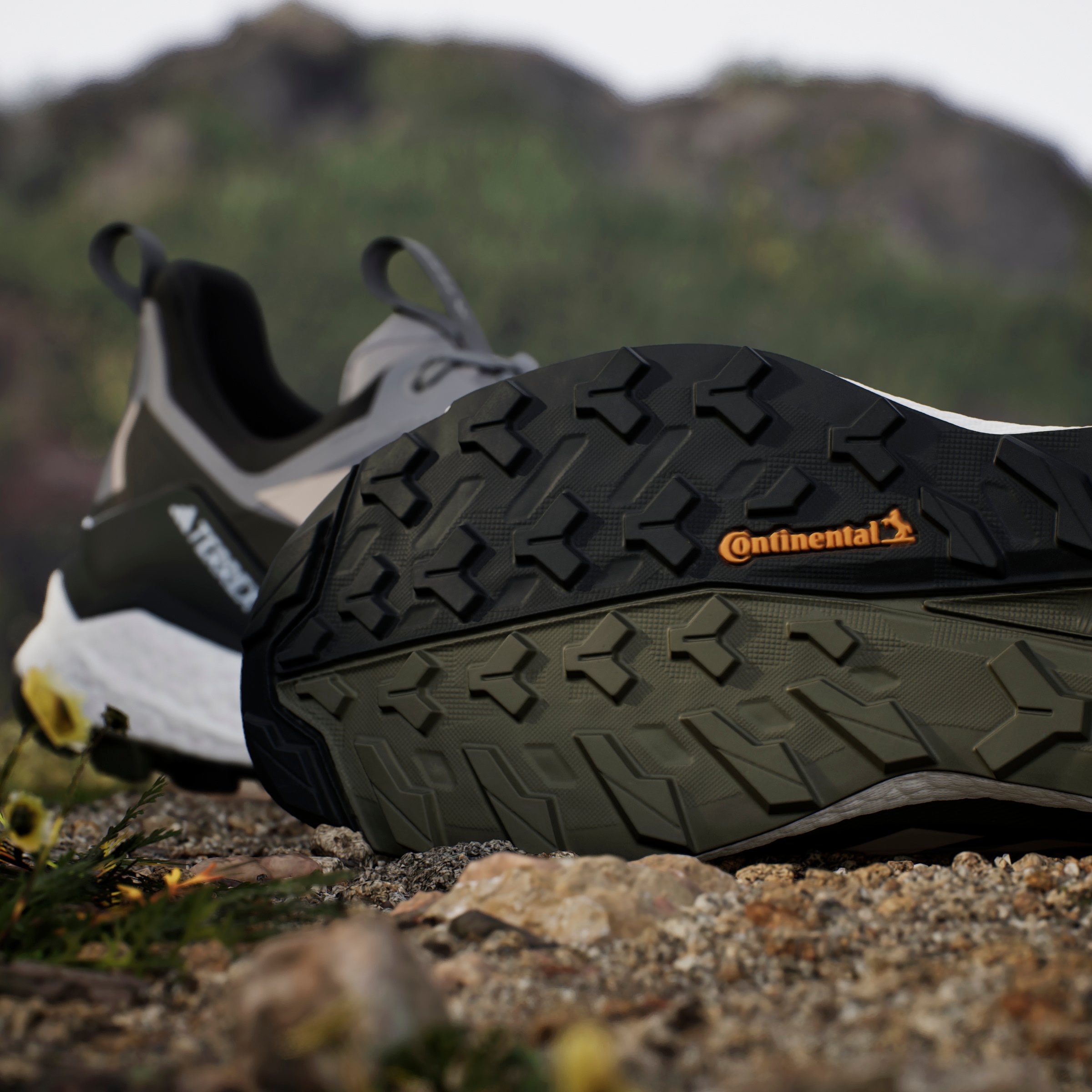TERREX FREE HIKER 2 LOW