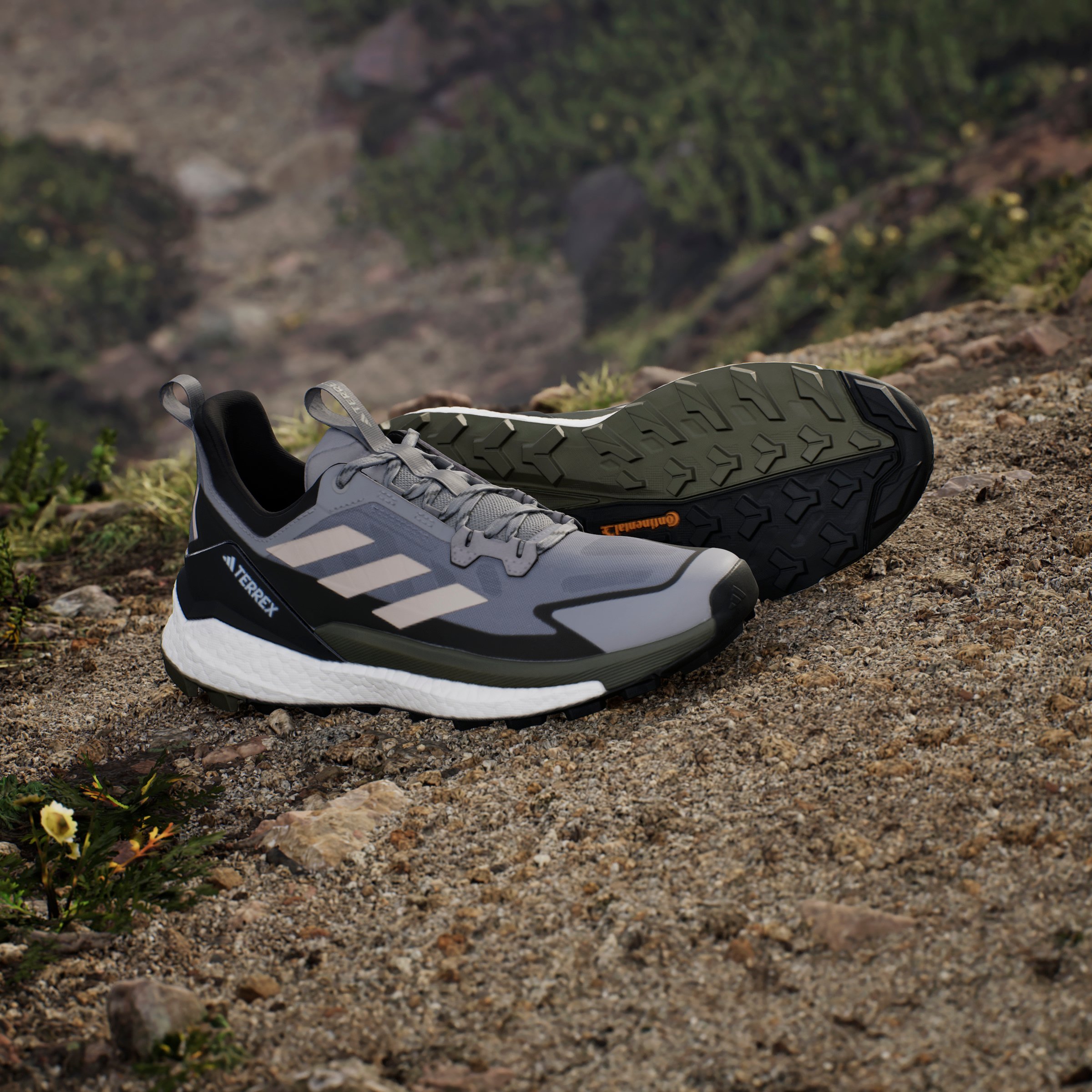 TERREX FREE HIKER 2 LOW