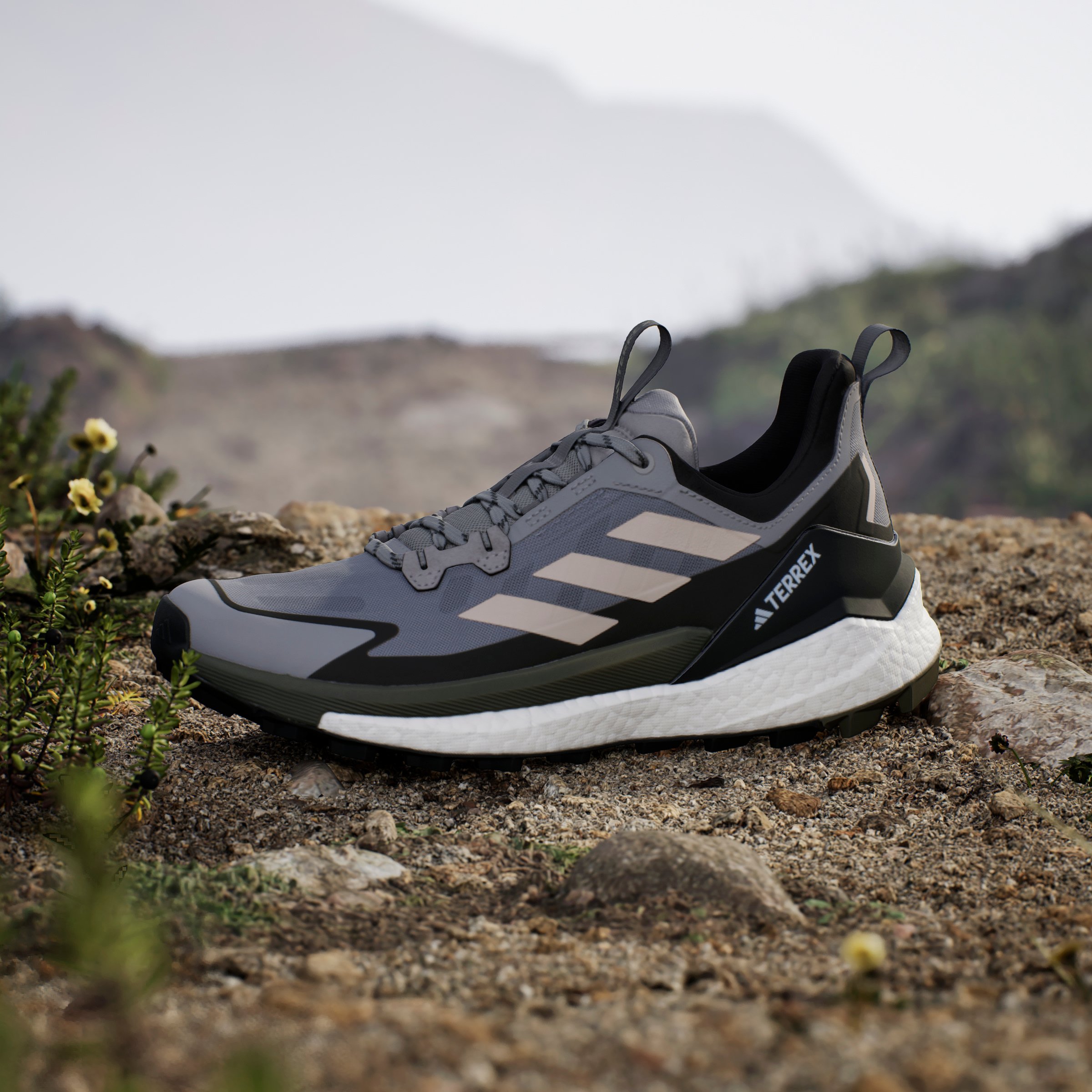 TERREX FREE HIKER 2 LOW