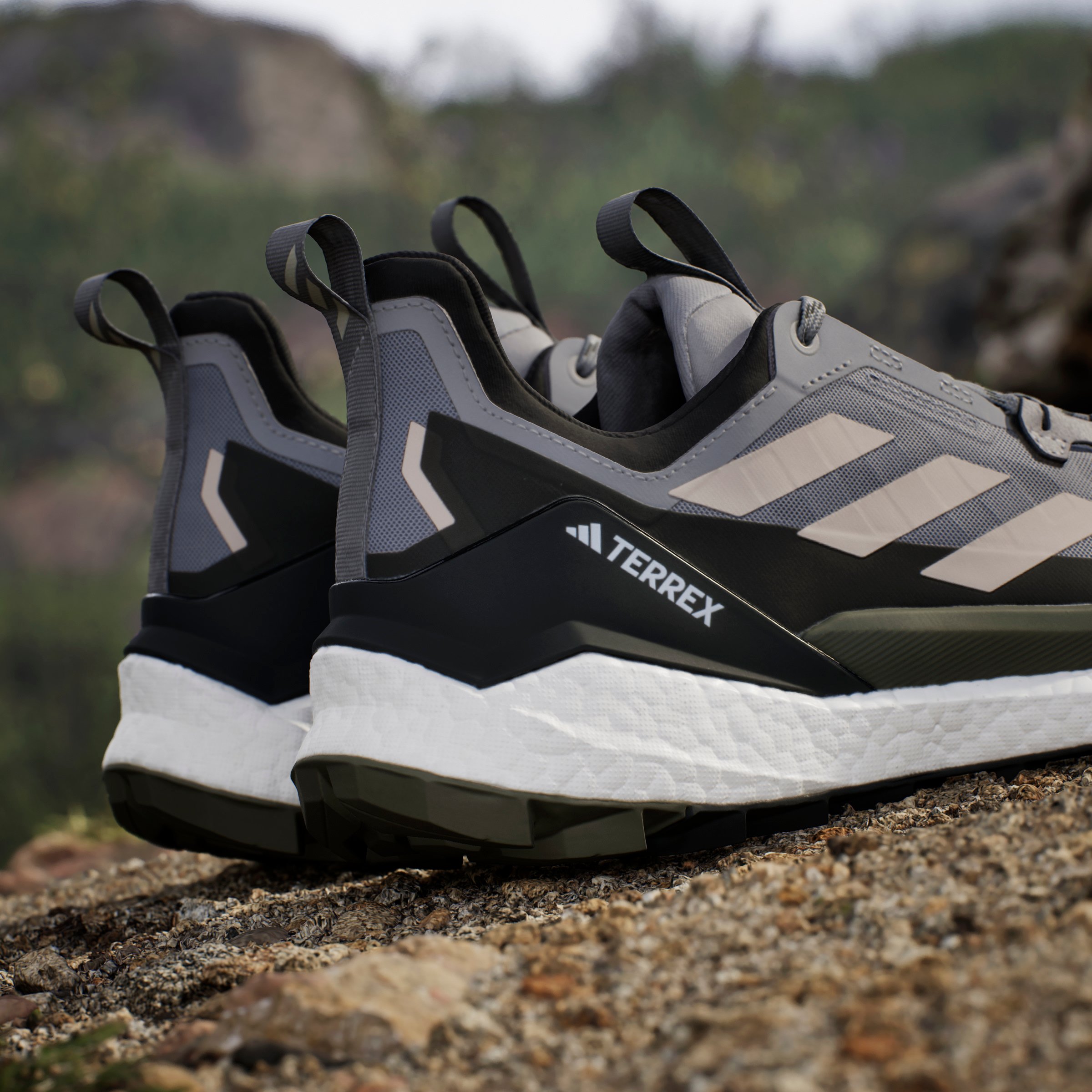 TERREX FREE HIKER 2 LOW