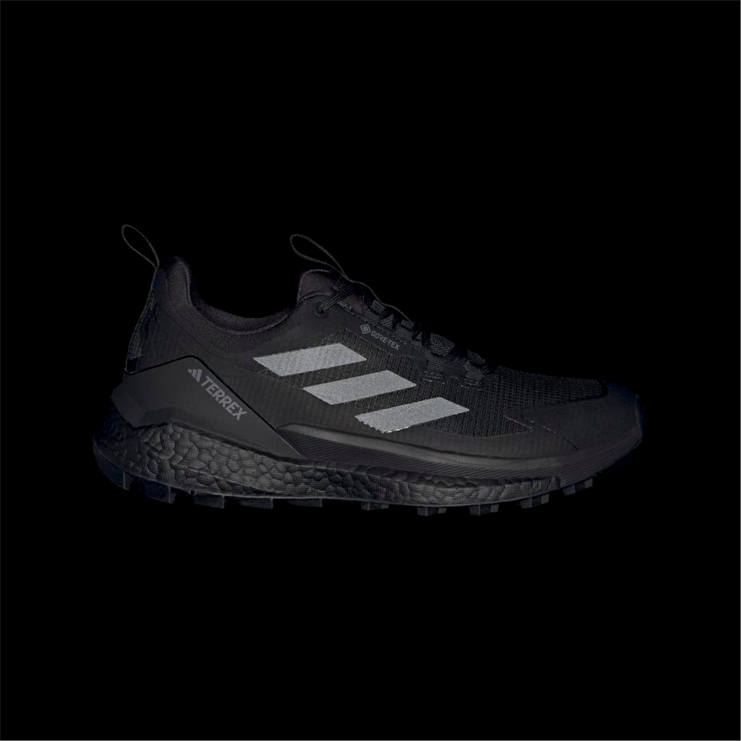 TERREX FREE HIKER 2 LOW GTX