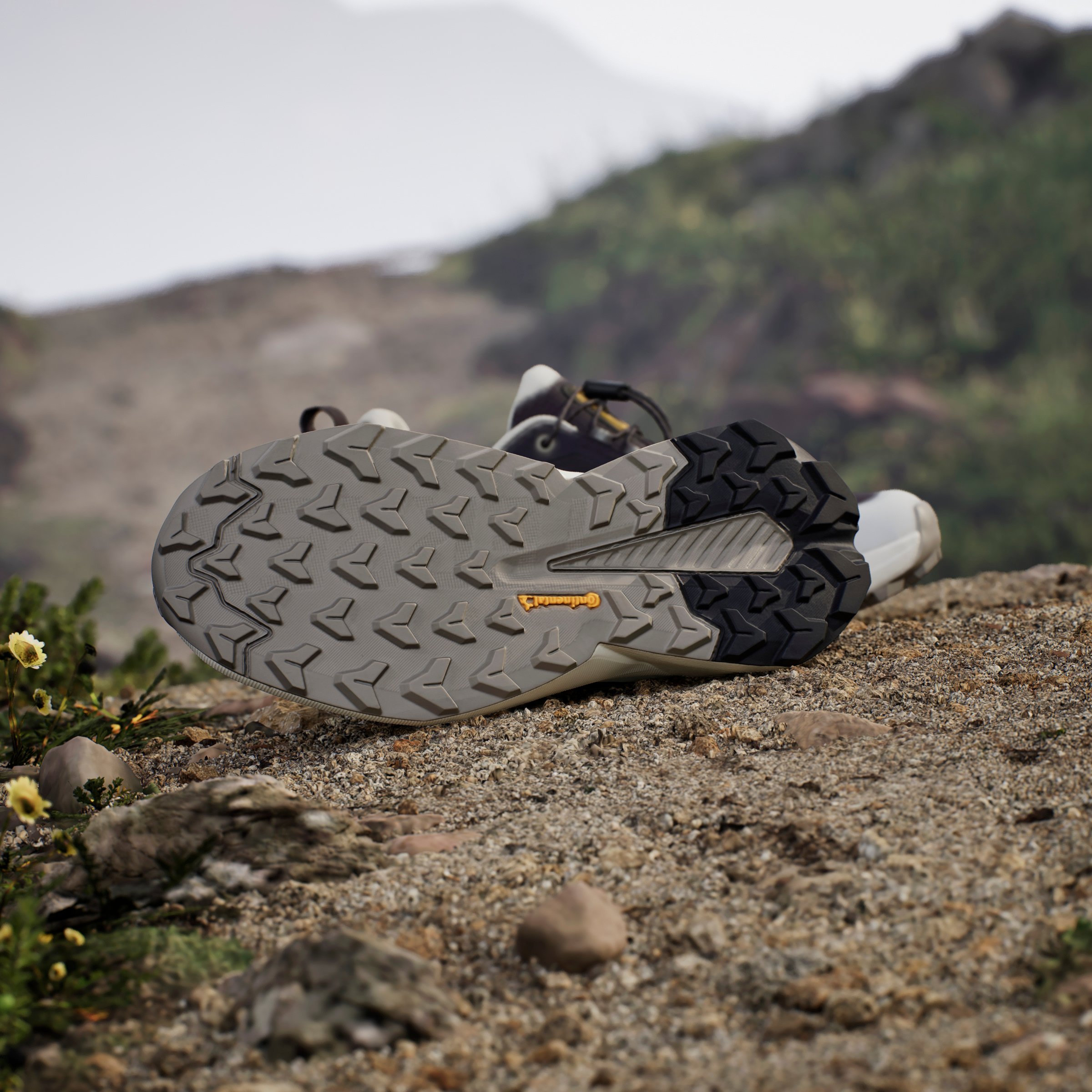 TERREX TRAILMAKER 2 GTX x NG W