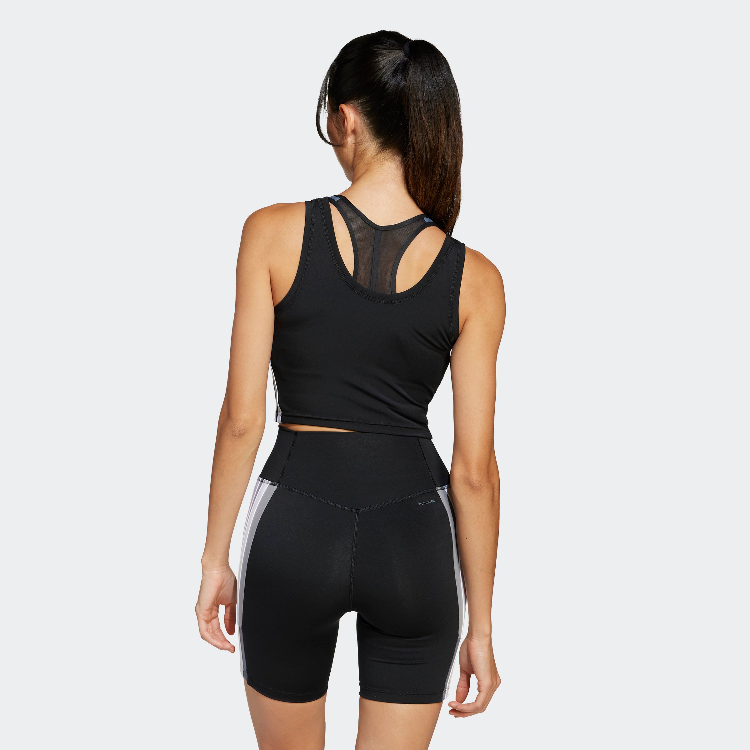 WE 3S CROP TANK