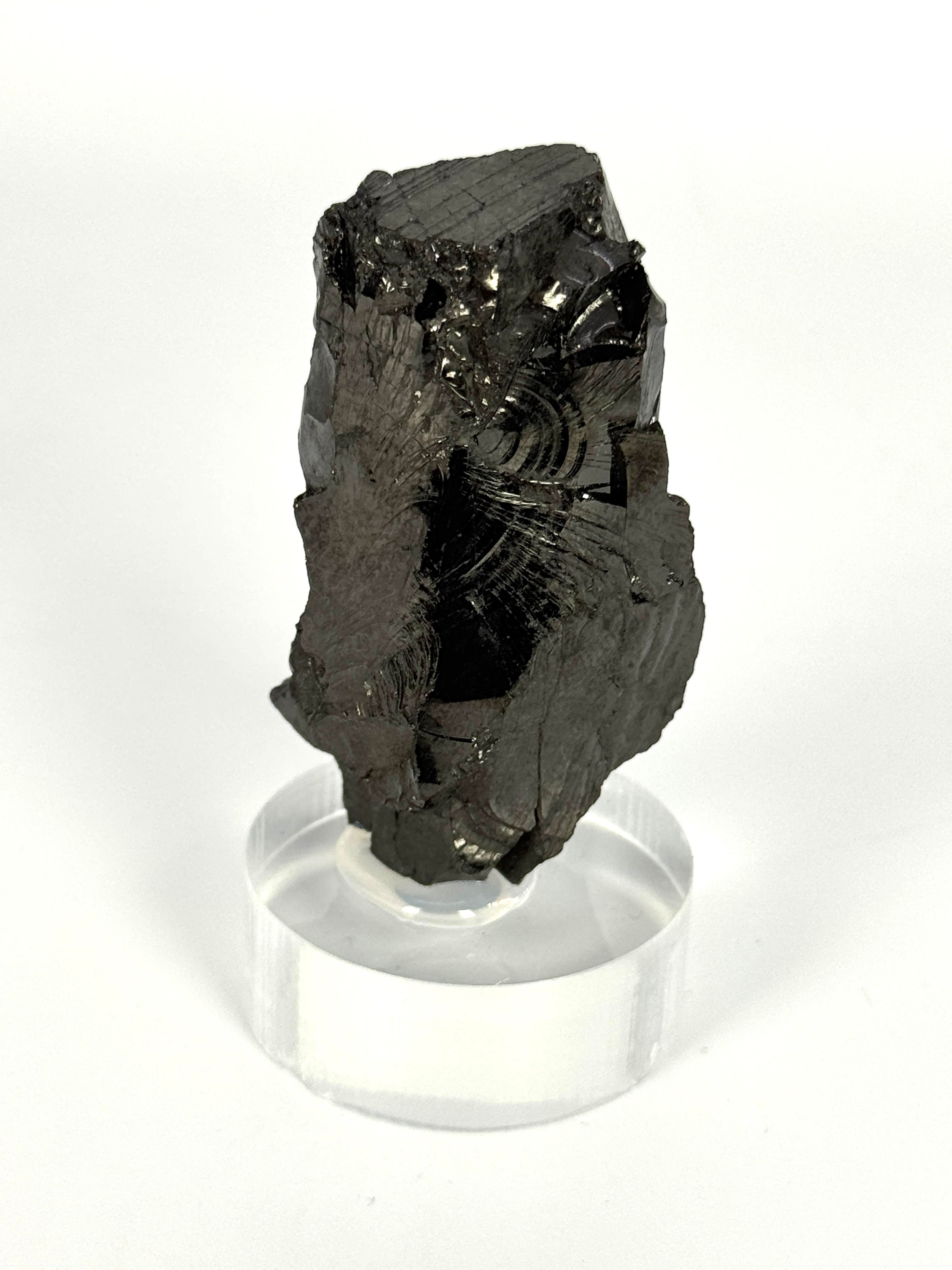 ASİL (ELİT) ŞUNGİT 38,6 GR.