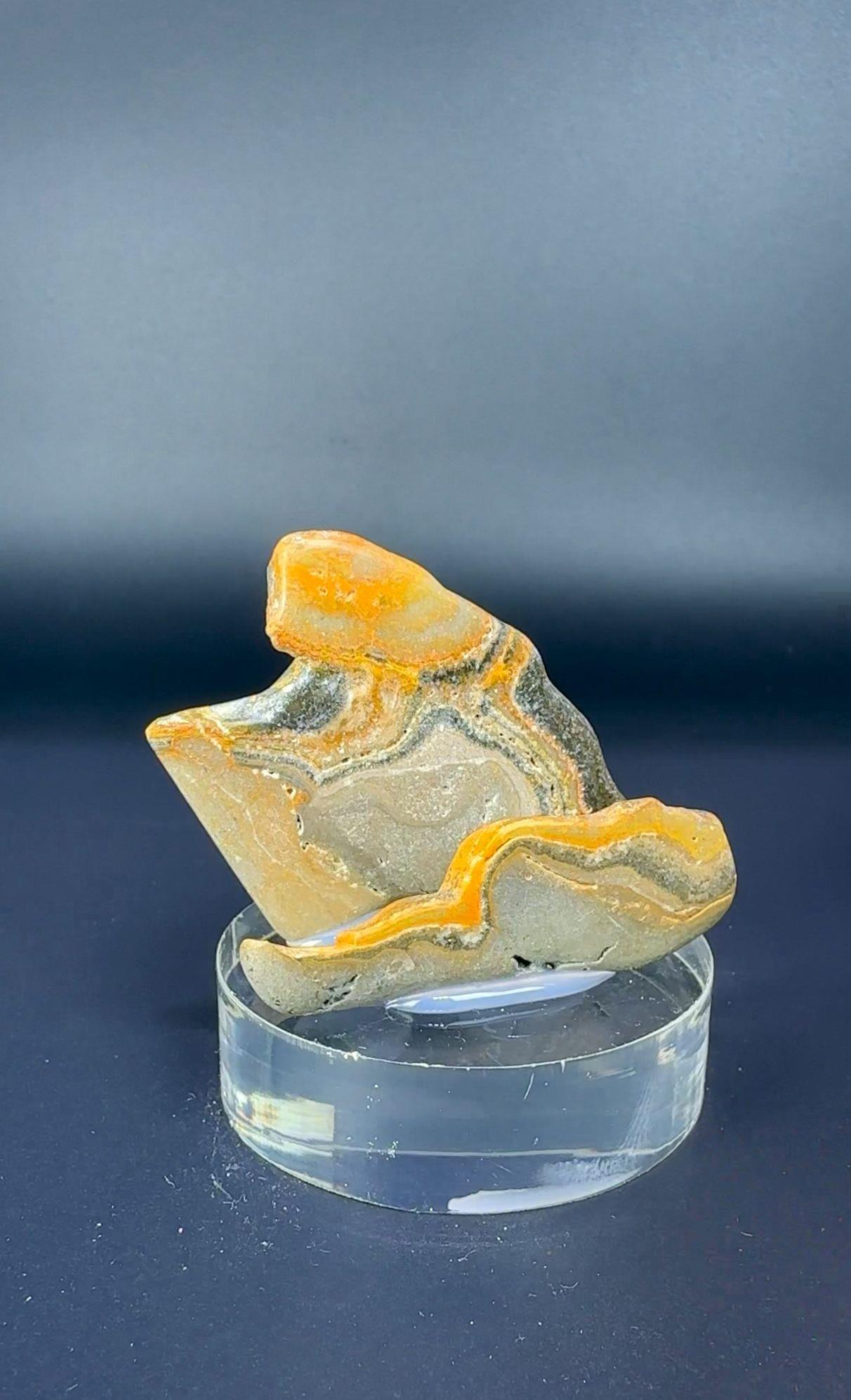 BUMBLEBEE JASPER 26 GR.