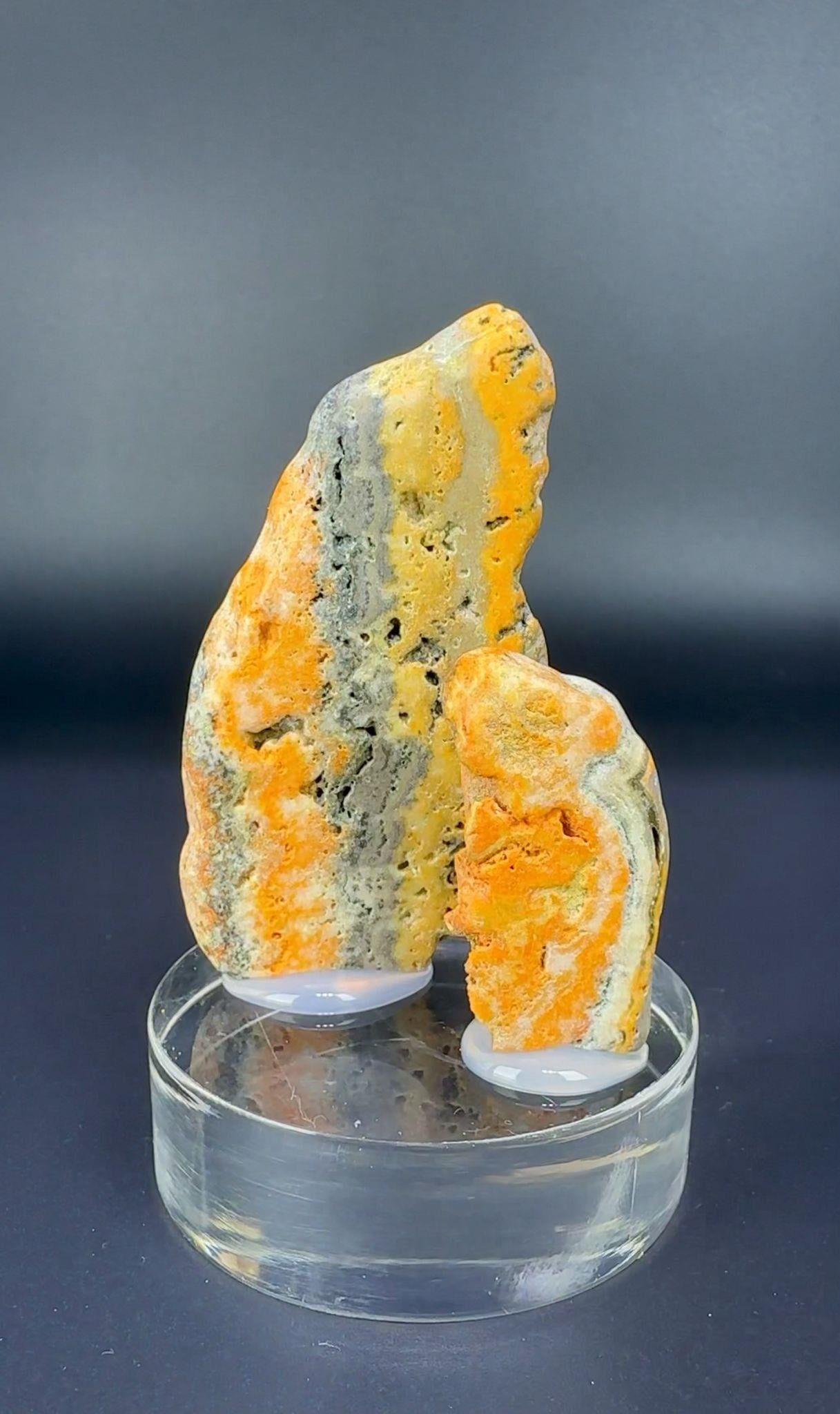 BUMBLEBEE JASPER 33 GR.