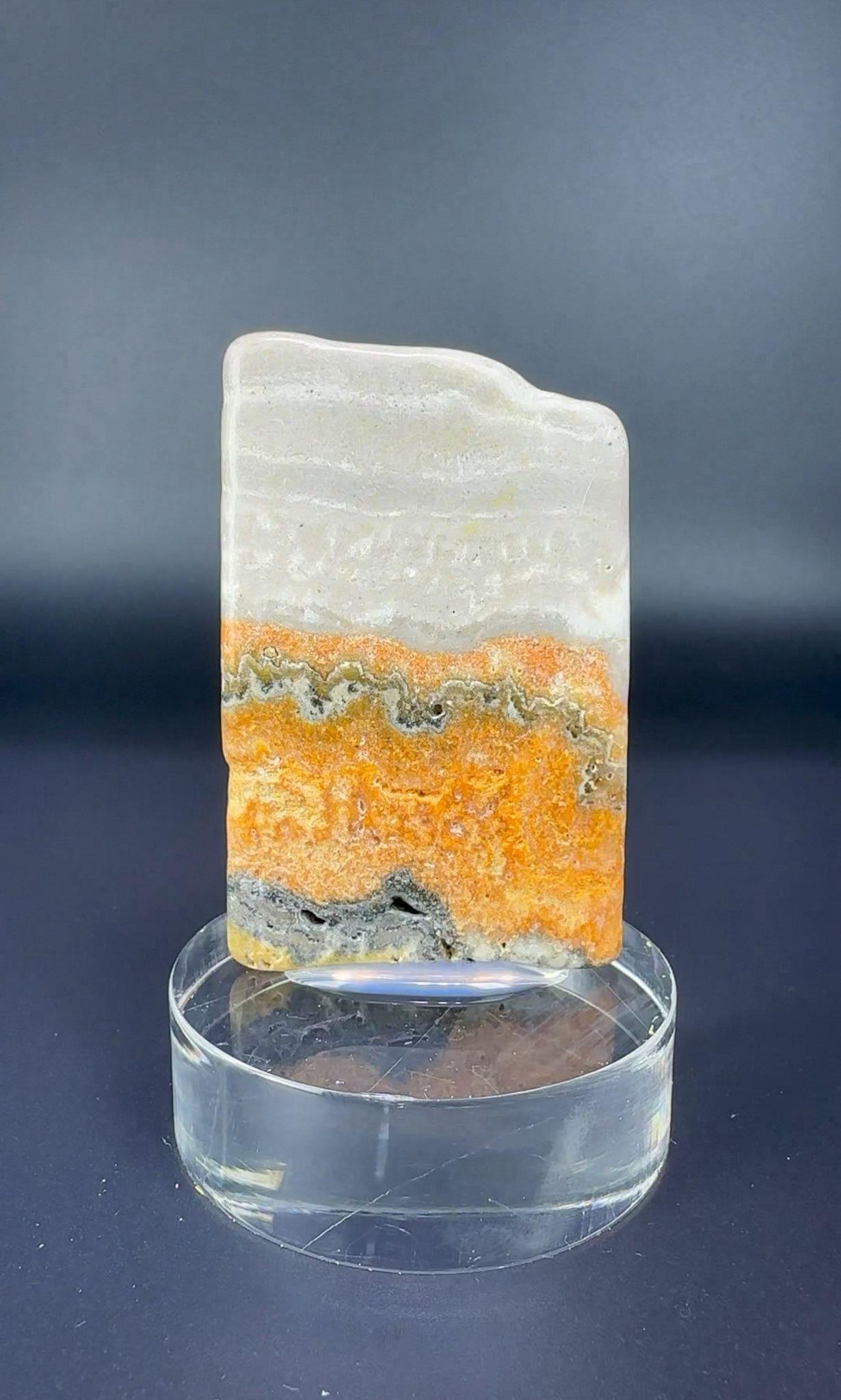 BUMBLEBEE JASPER 36 GR.
