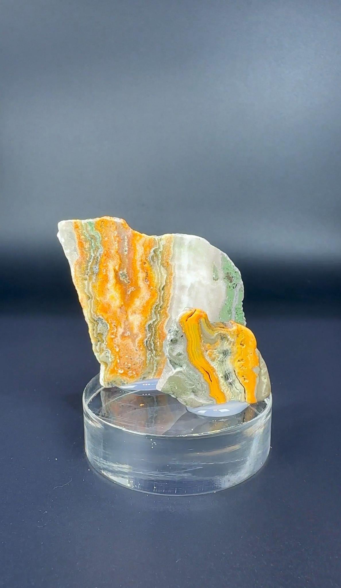 BUMBLEBEE JASPER 37 GR.
