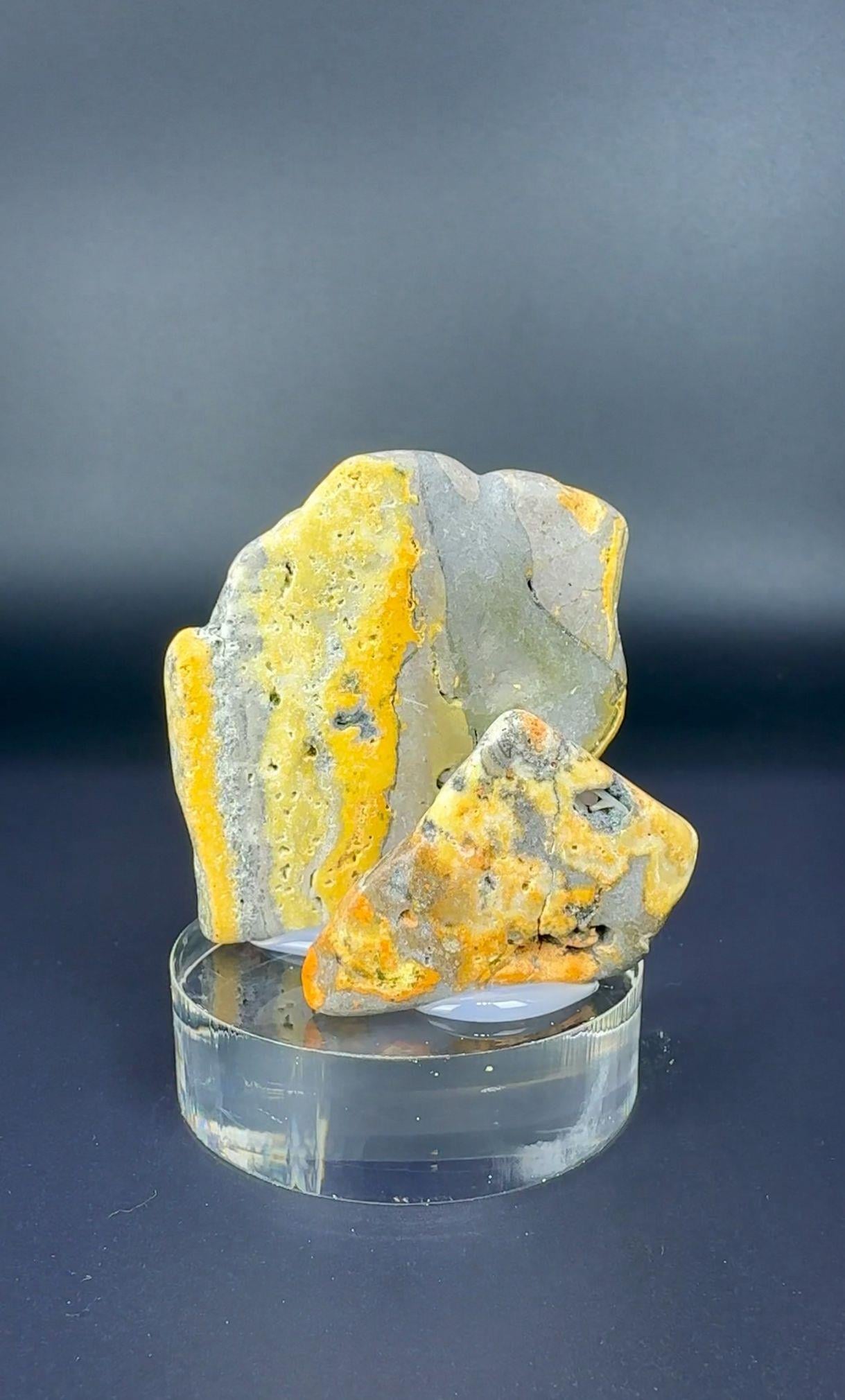BUMBLEBEE JASPER 42 GR.