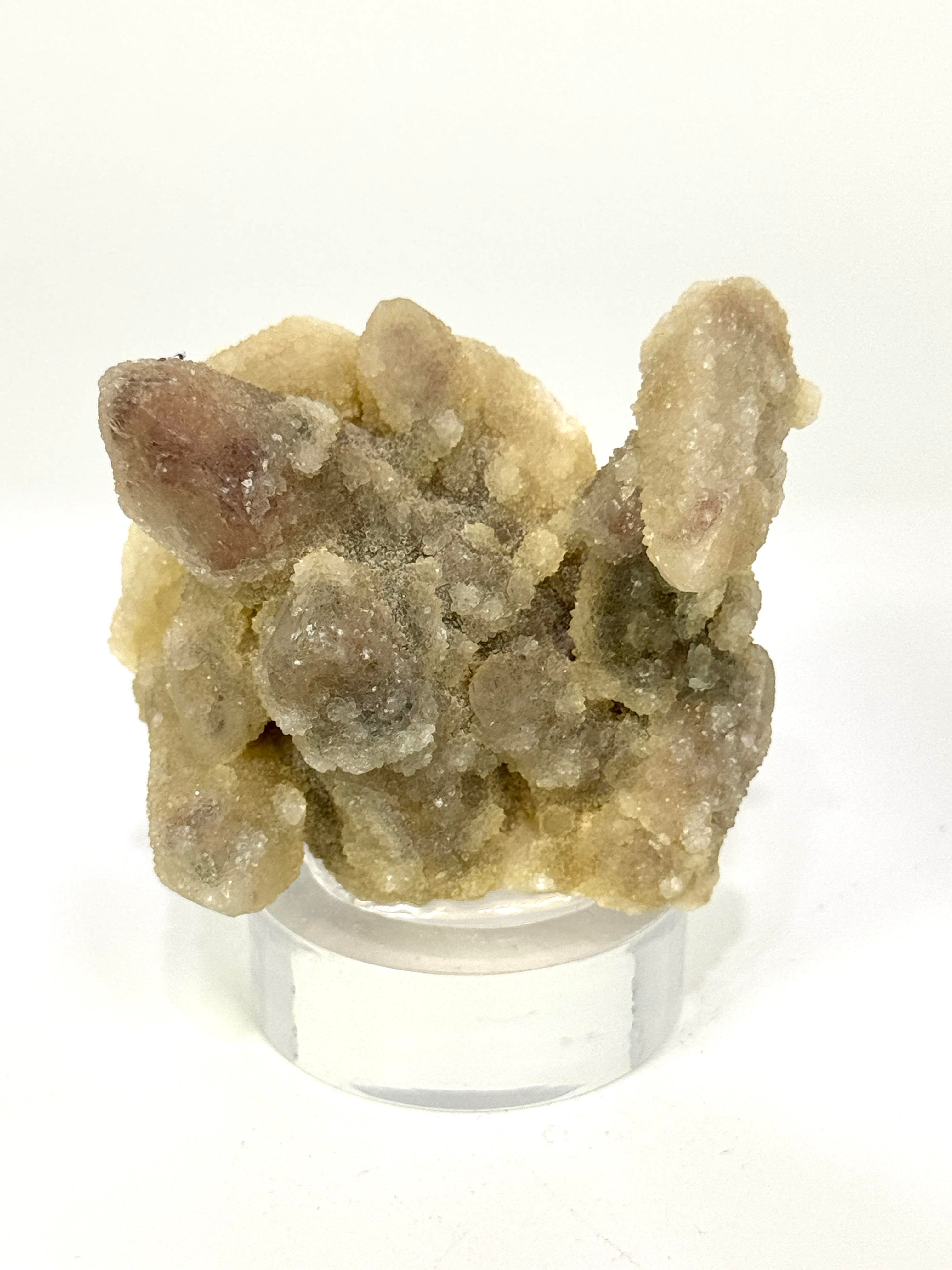 CADI PARMAĞI 83,3 GR.