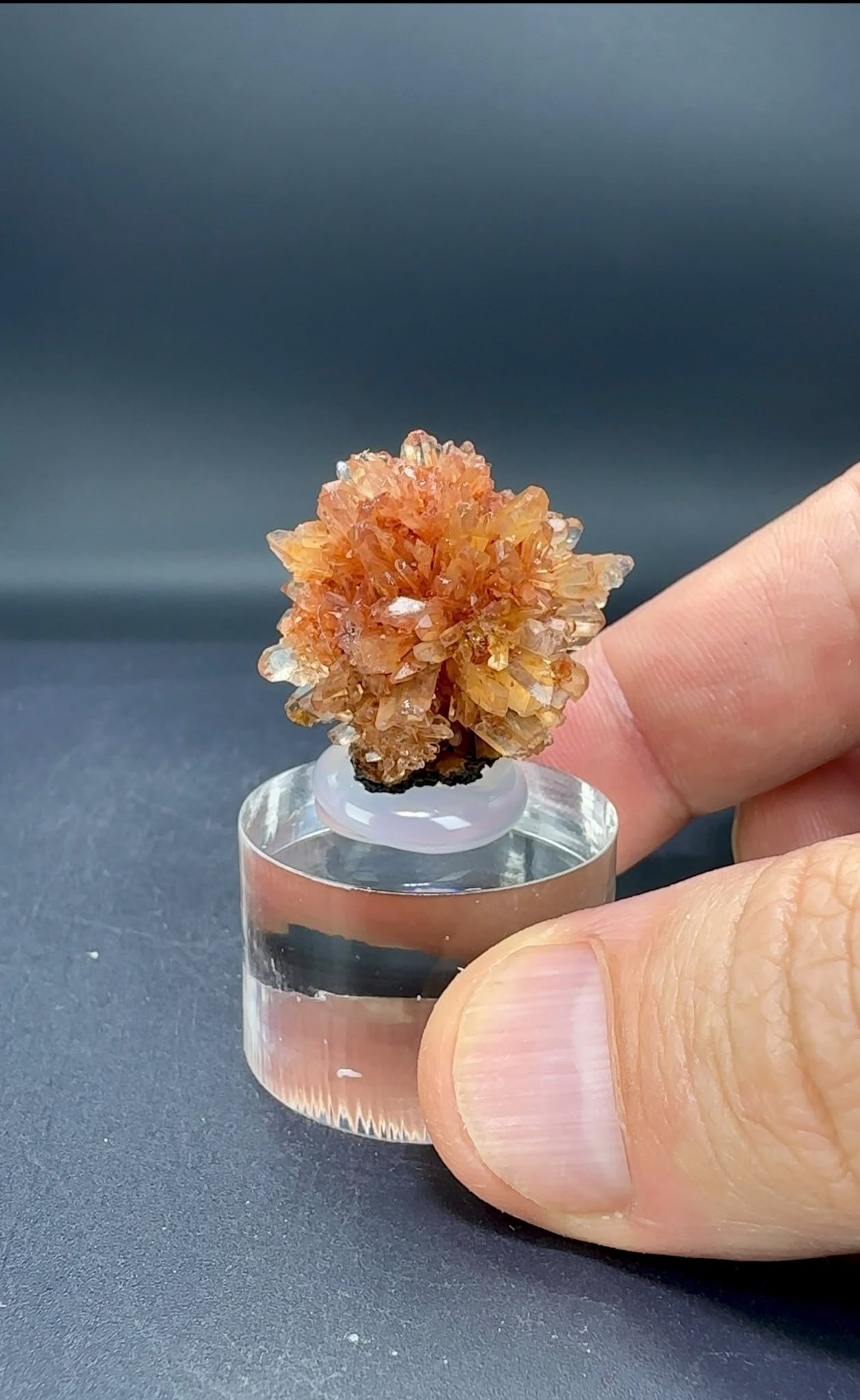 CREEDITE 12 GR.
