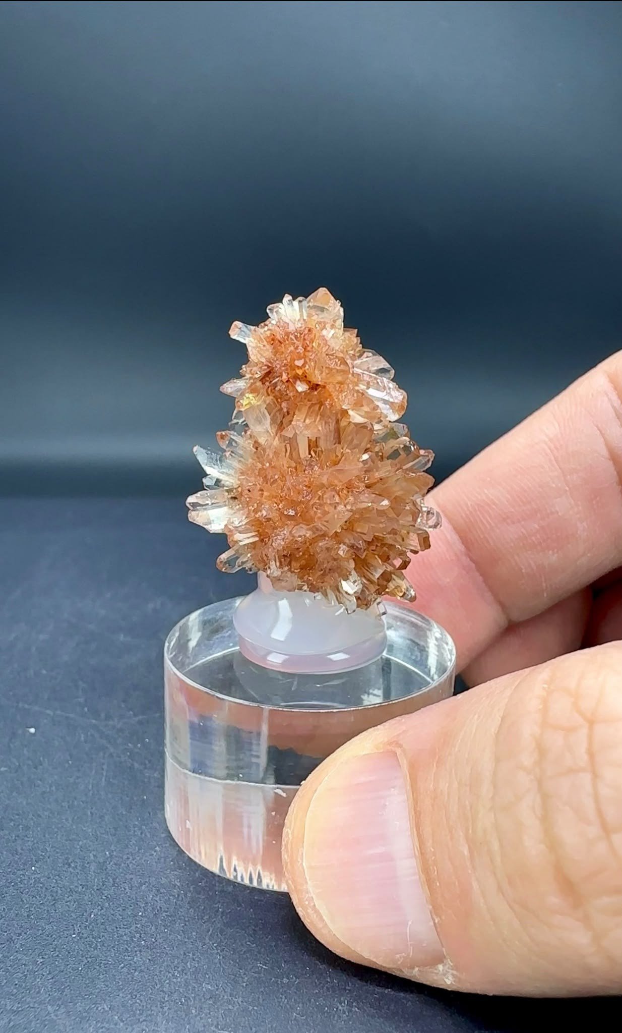 CREEDITE 13 GR.