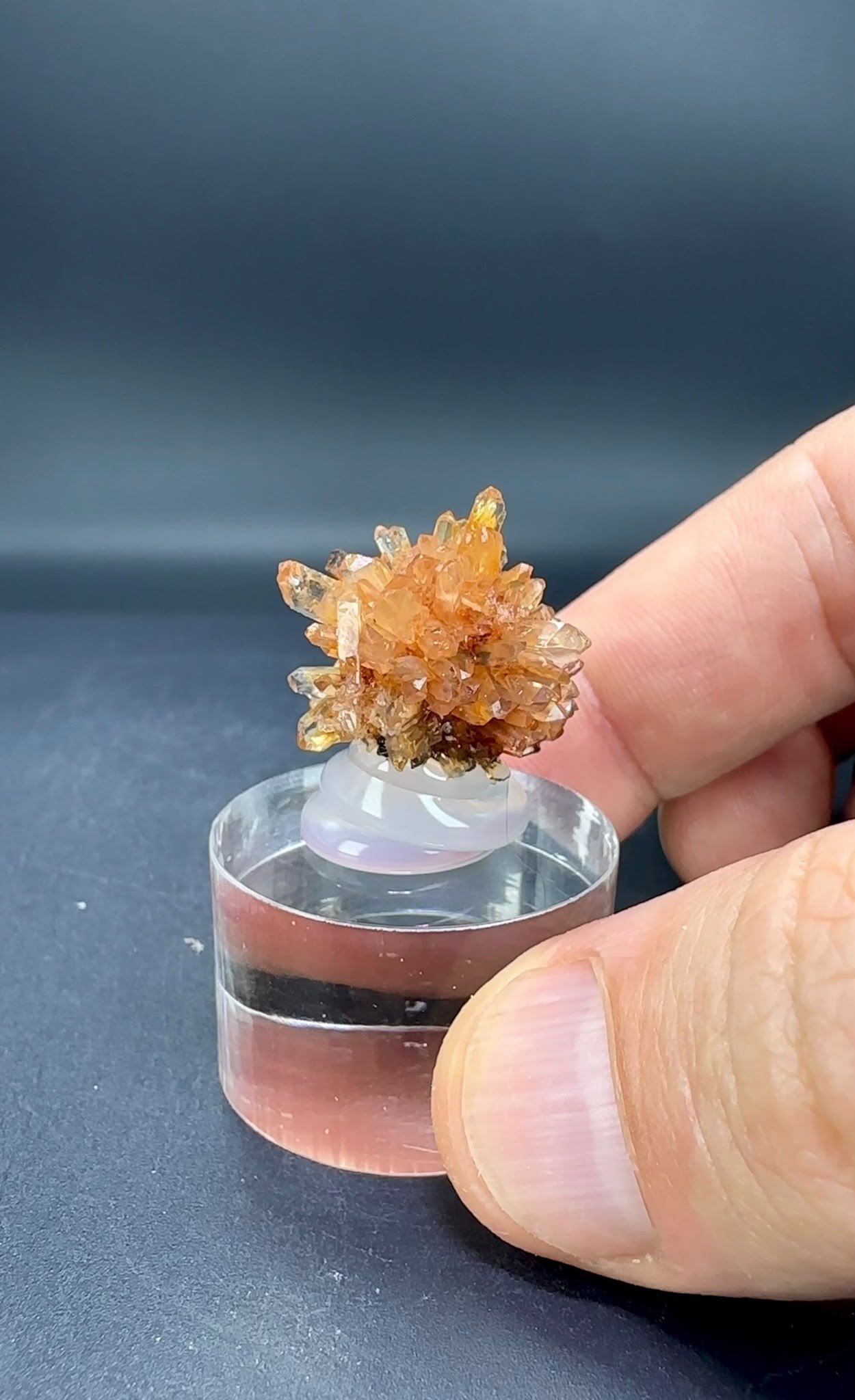 CREEDITE 7 GR.