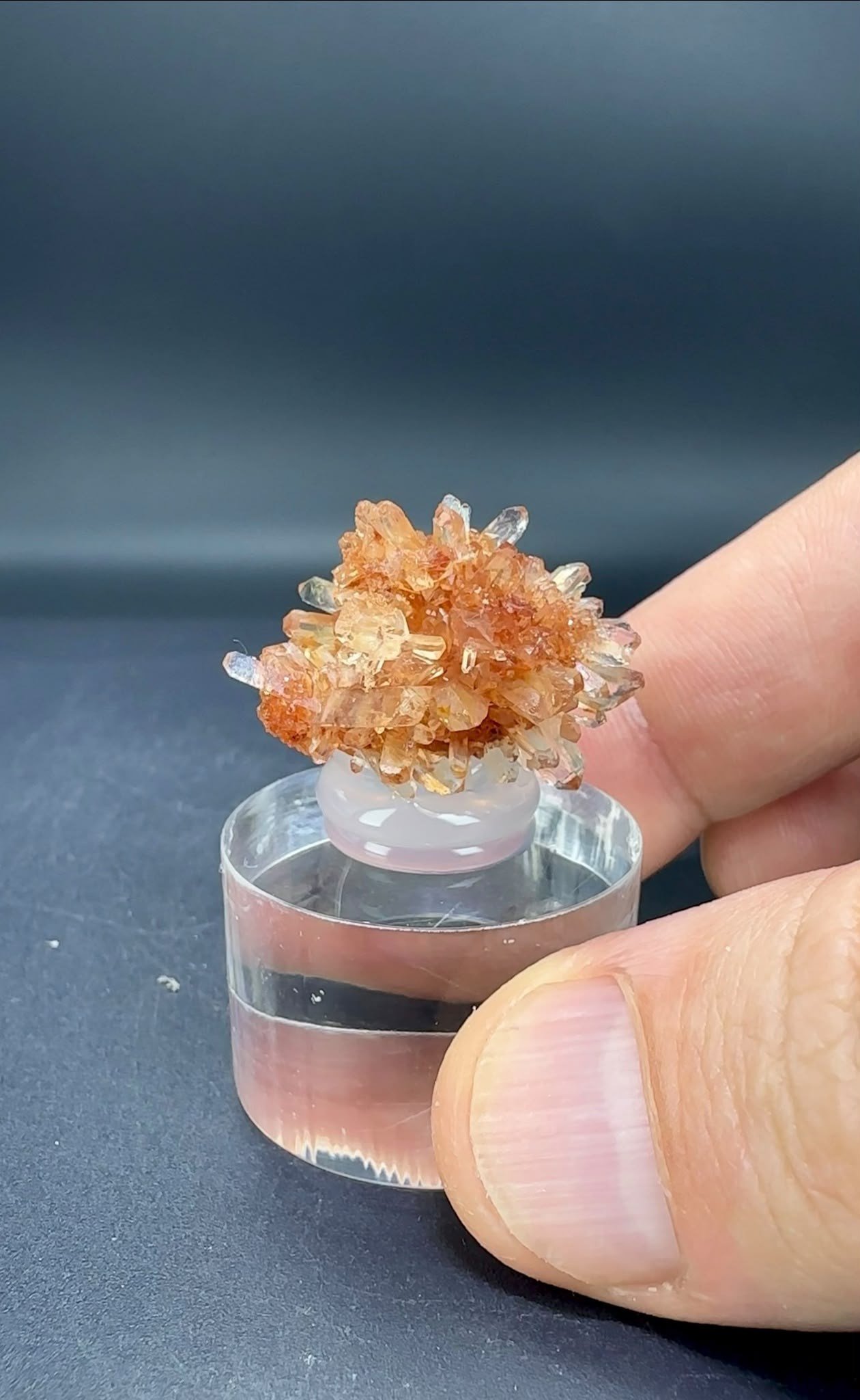 CREEDITE 8 GR.
