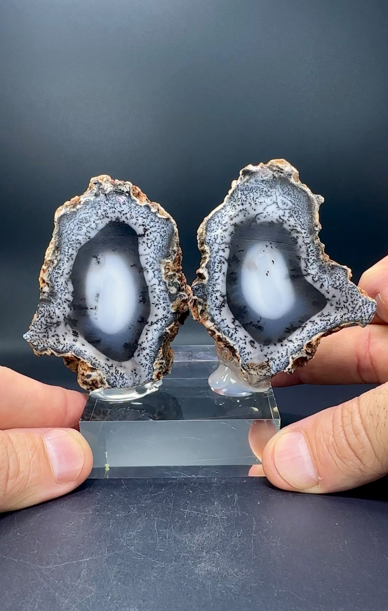 DENDRİTİK BEYAZ OPAL 226 GR.