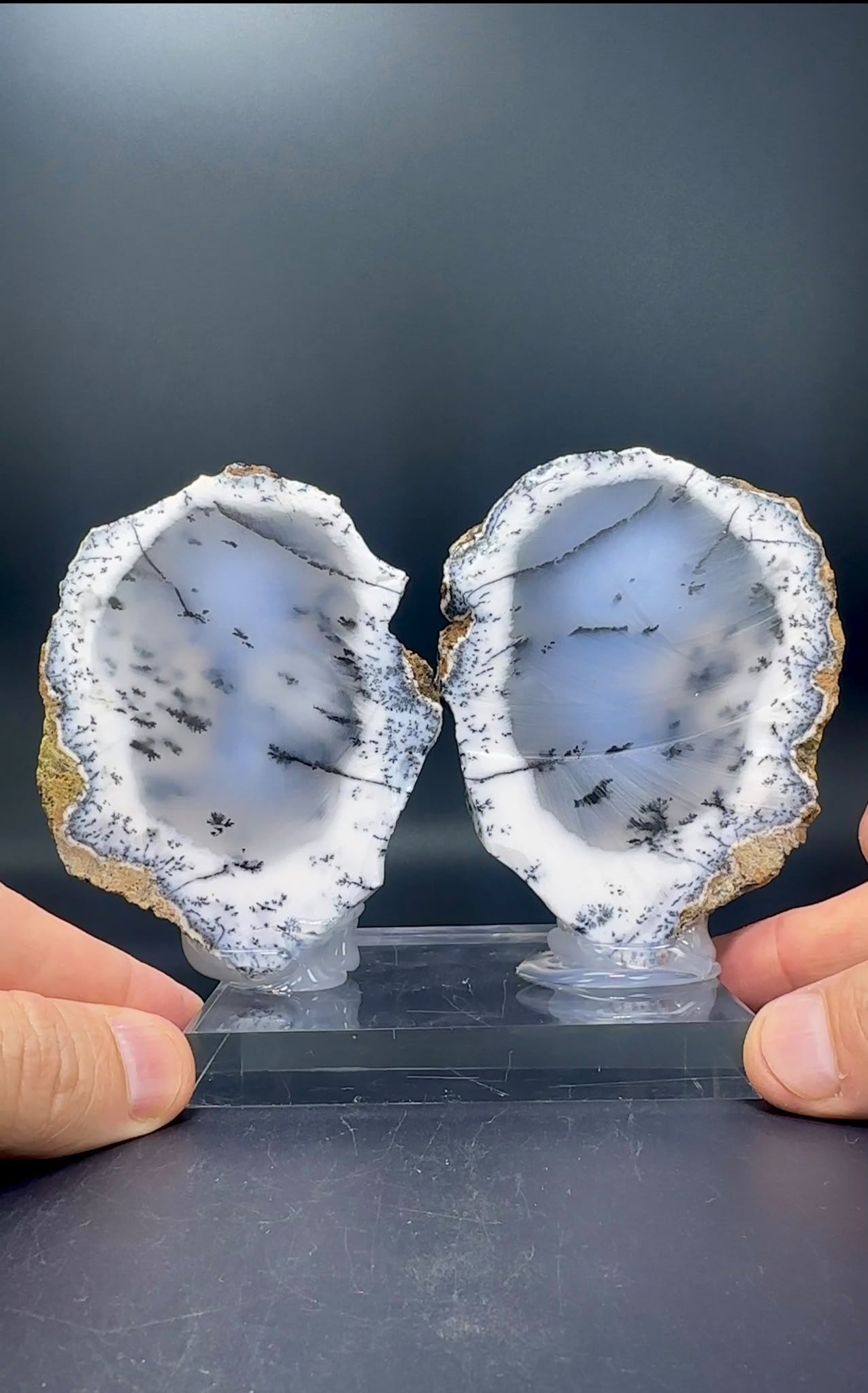 DENDRİTİK BEYAZ OPAL 475 GR.