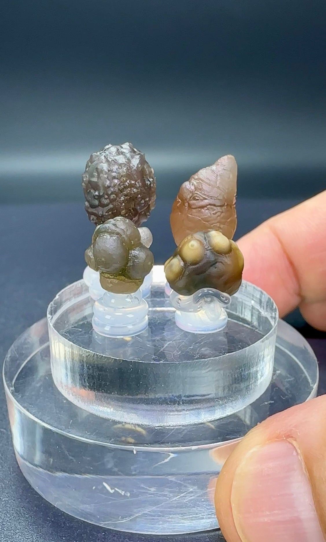 GOBİ ÇÖLÜ AGAT SET 6,2 GR.