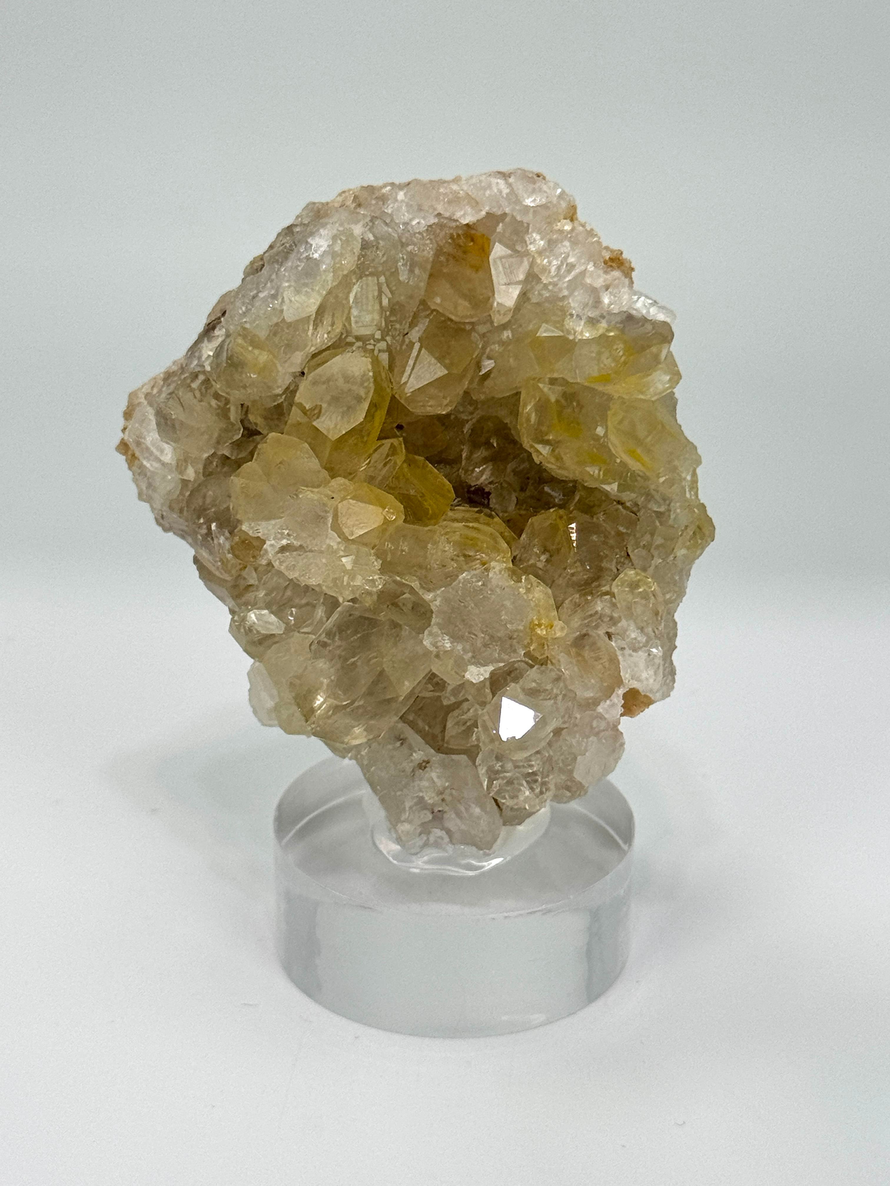 GOLDEN HEALER KUVARS 90 GR.