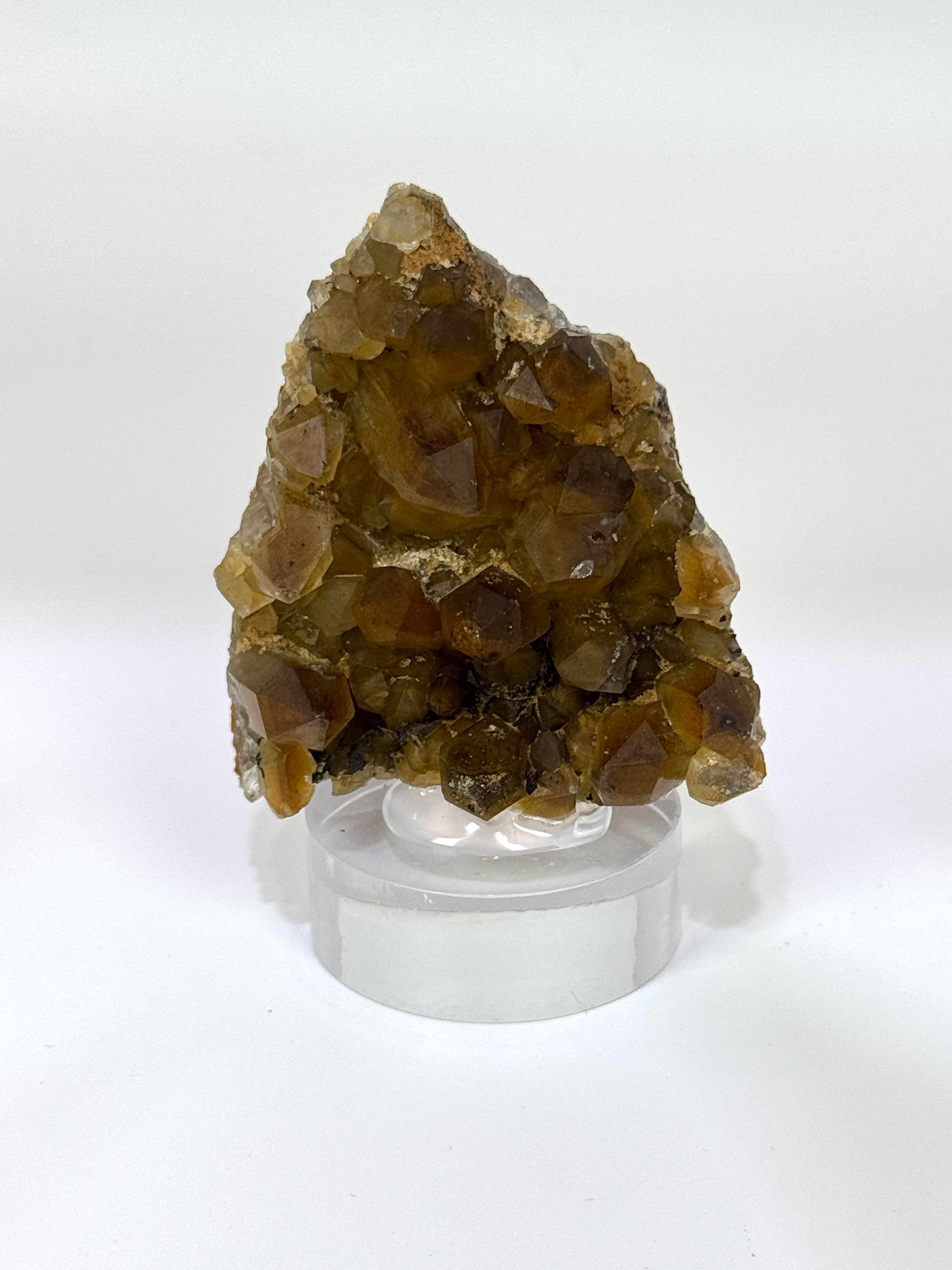 GOLDEN HEALER KUVARS 96 GR.