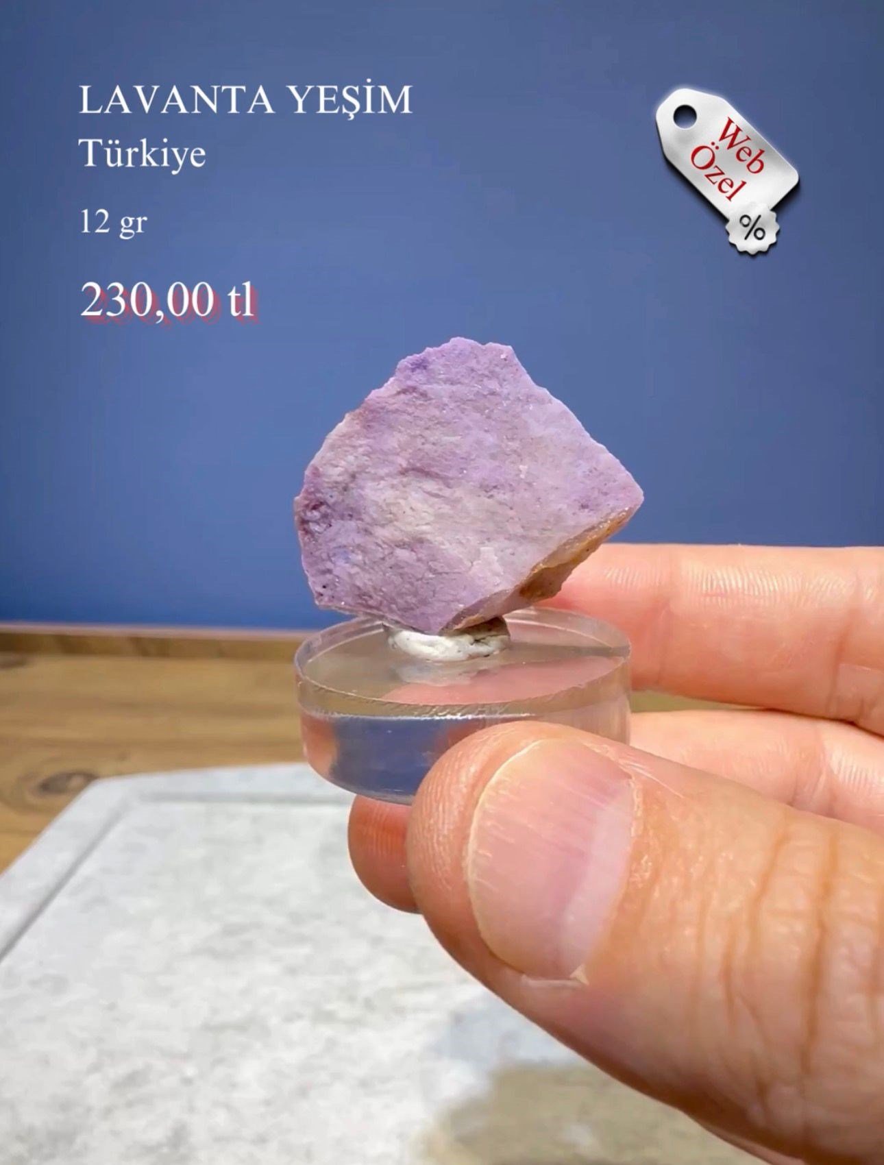 LAVANTA YEŞİM 12 GR.