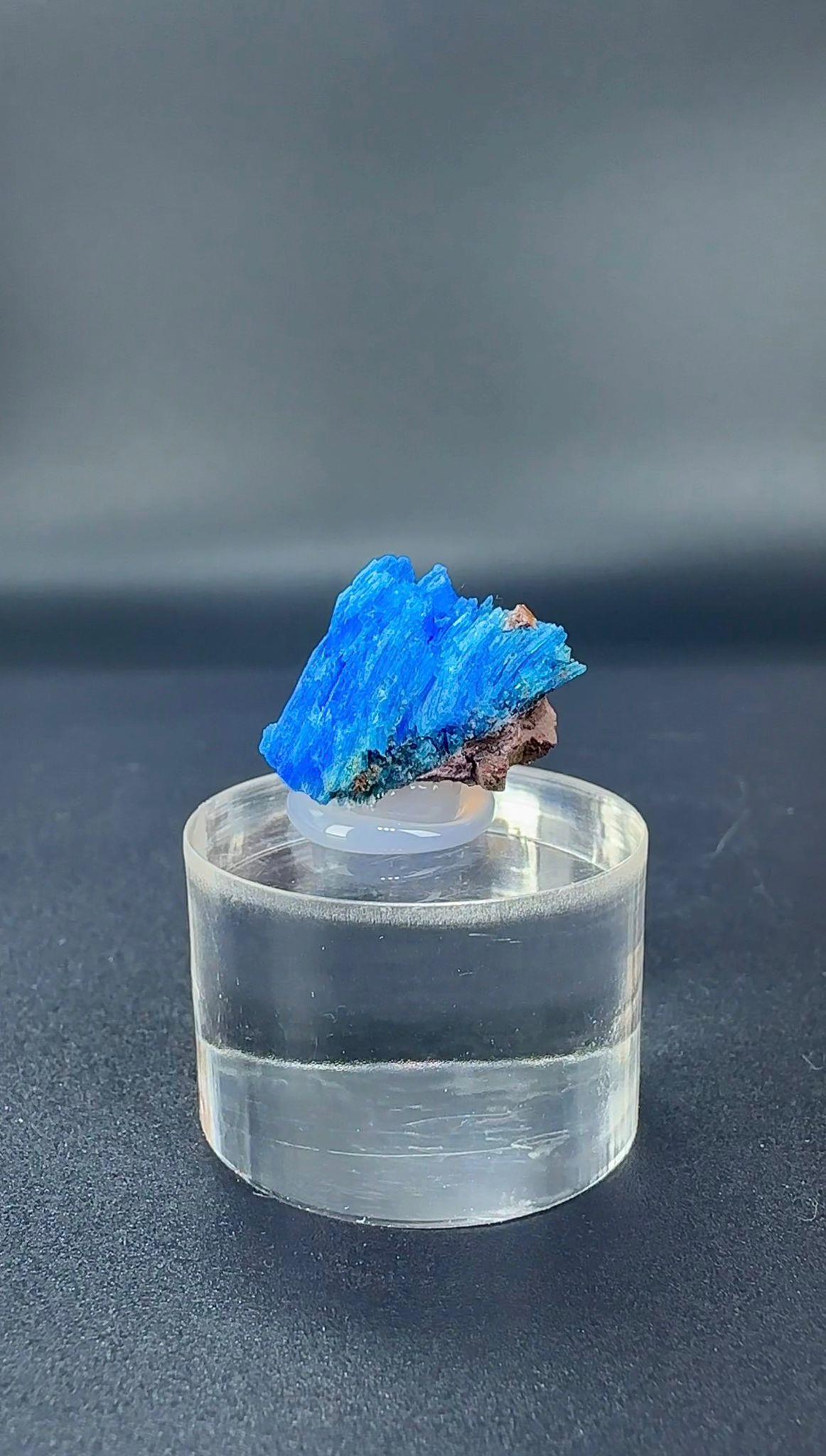 NEON MAVİ KALKANTİT 3,5 GR.