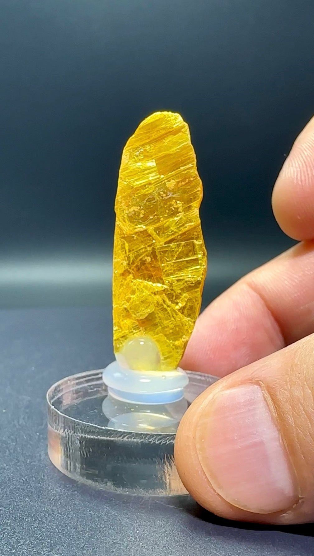 ORPIMENT 5,5 GR.