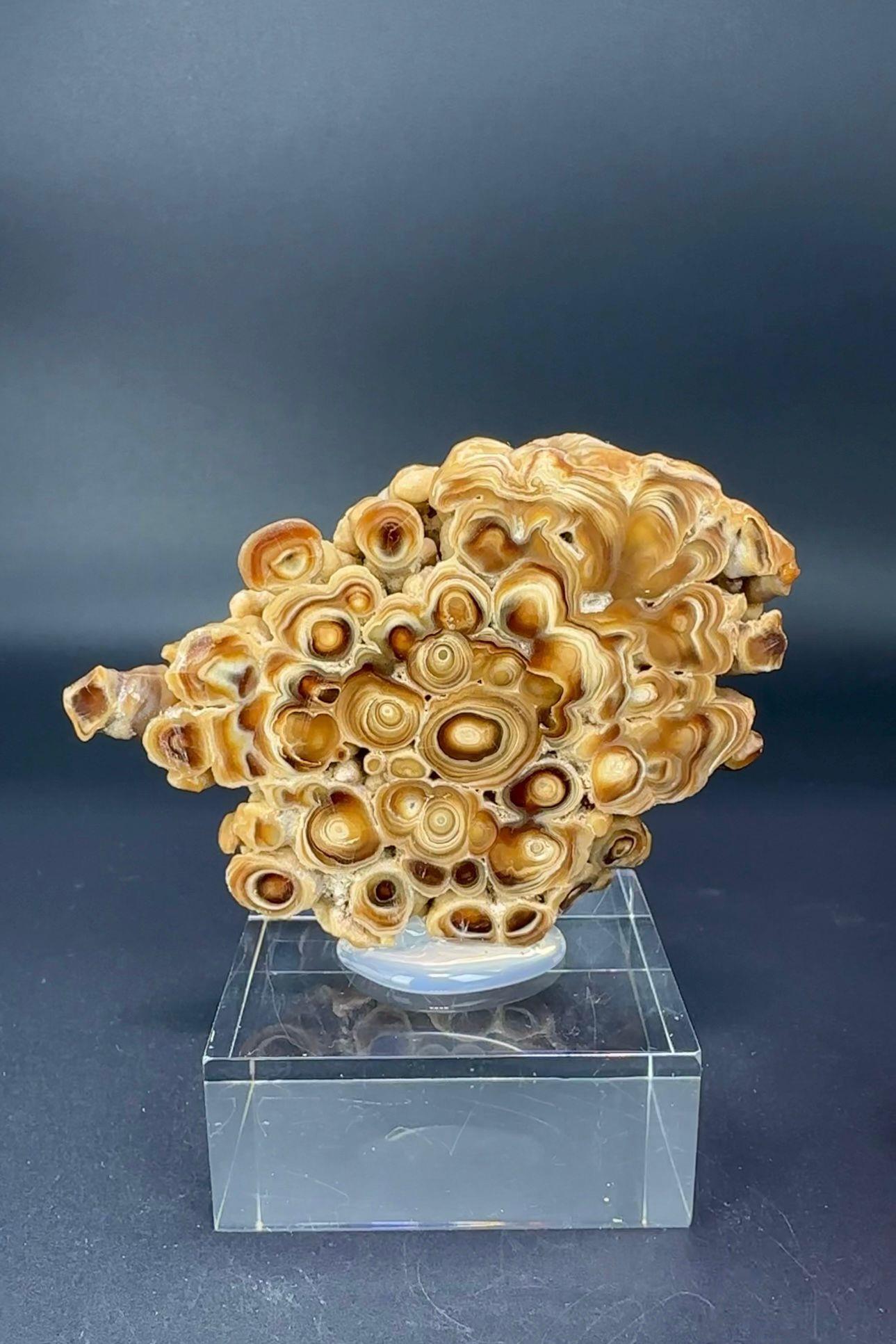 POPCORN ARAGONİT 80 GR.