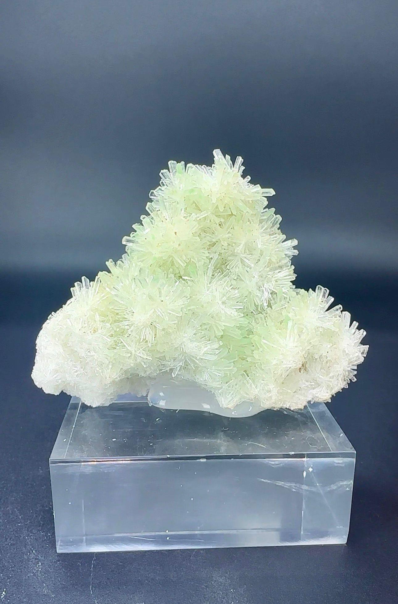 ROZET GYPSUM 42 GR.