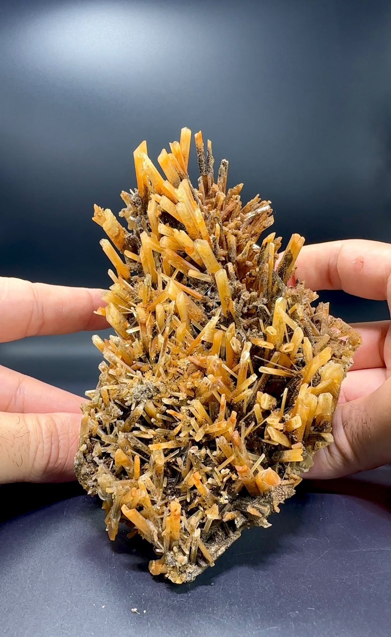 SANDVİÇ GYPSUM 186 GR.