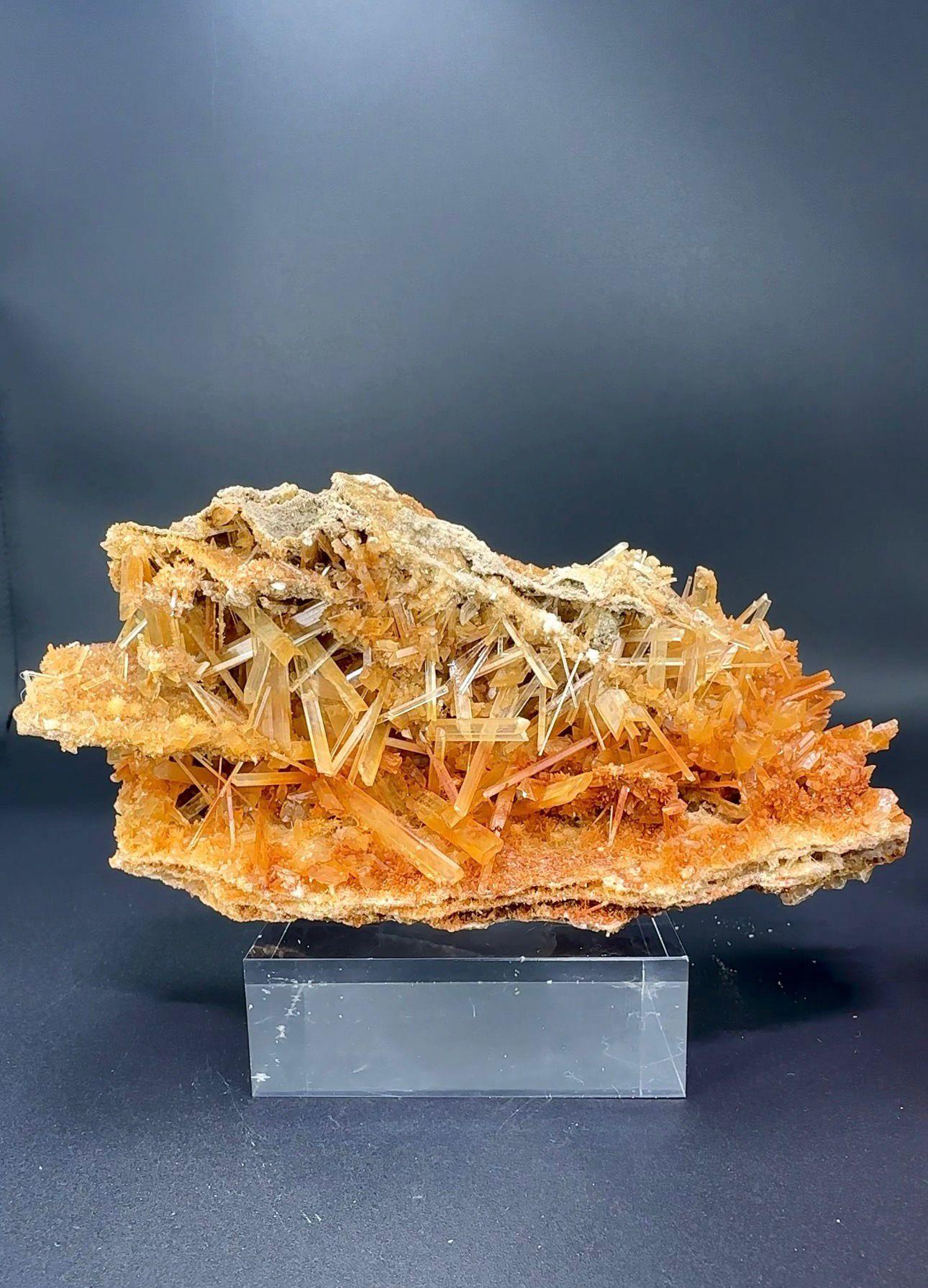 SANDVİÇ GYPSUM 210 GR.