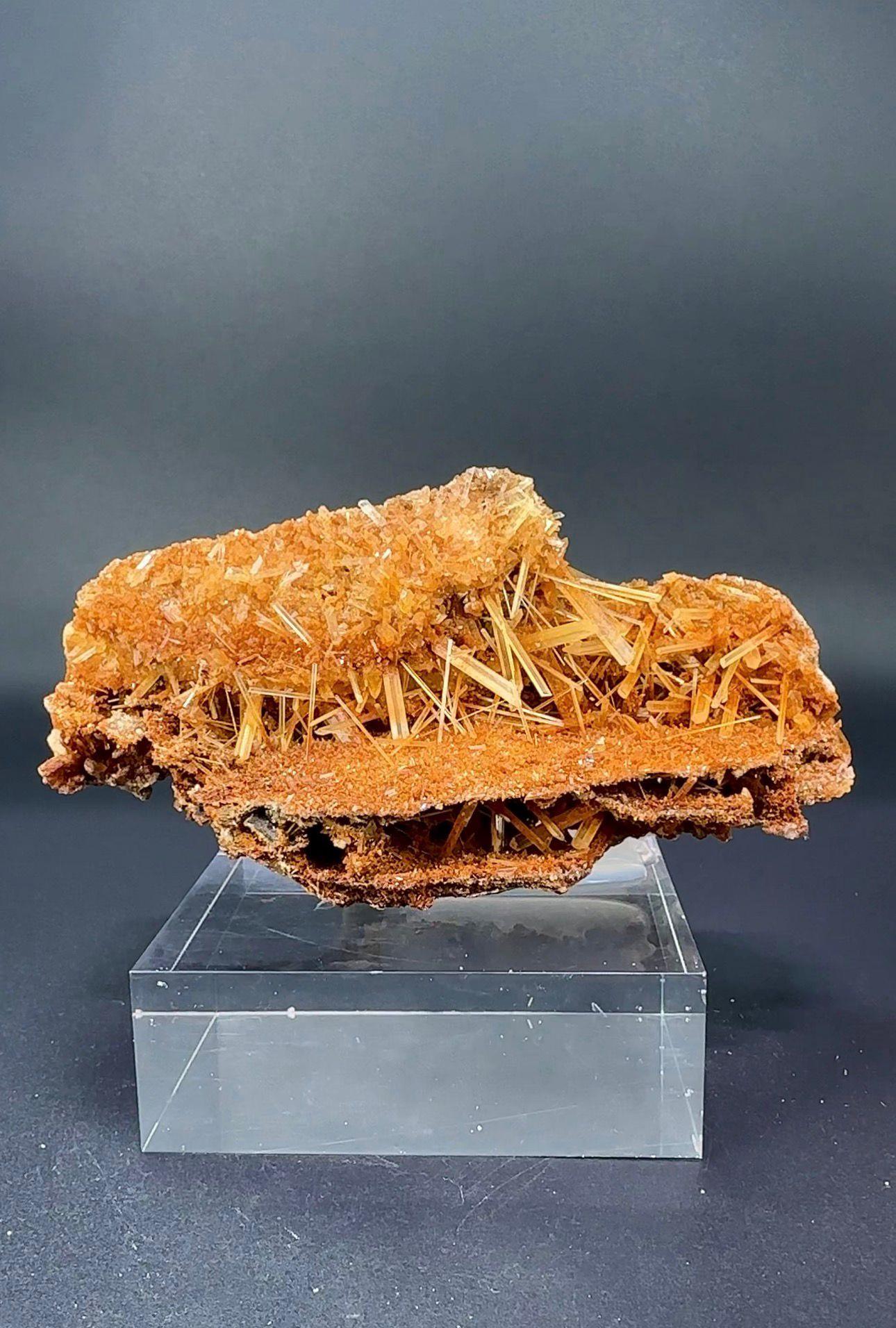 SANDVİÇ GYPSUM 96 GR.