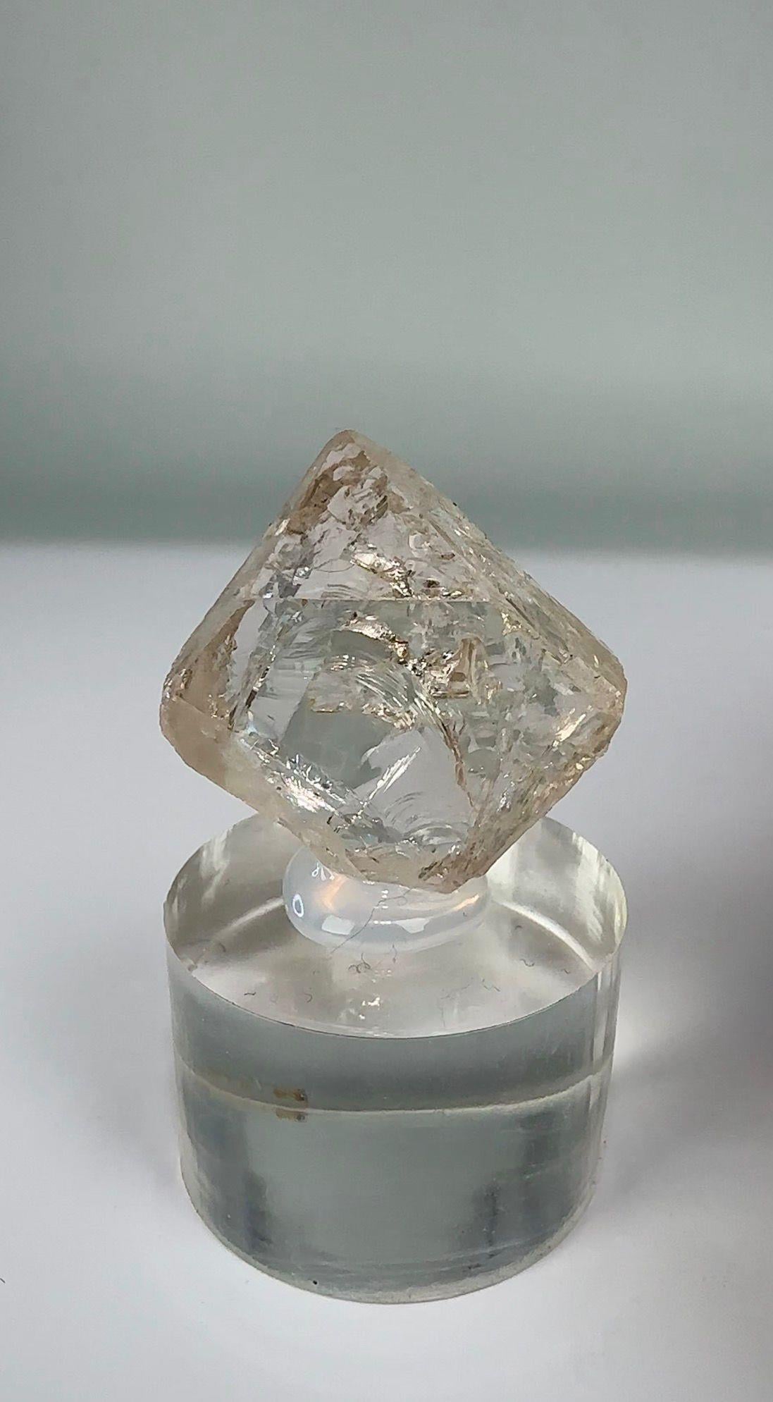 SKARDU TOPAZ 14 GR.